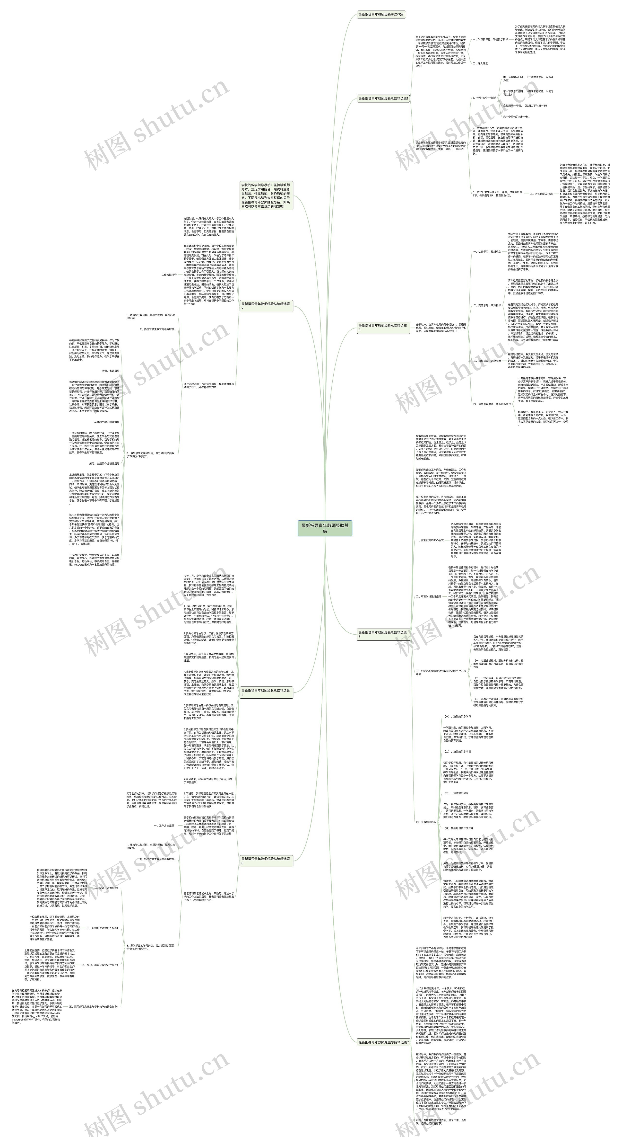 最新指导青年教师经验总结思维导图