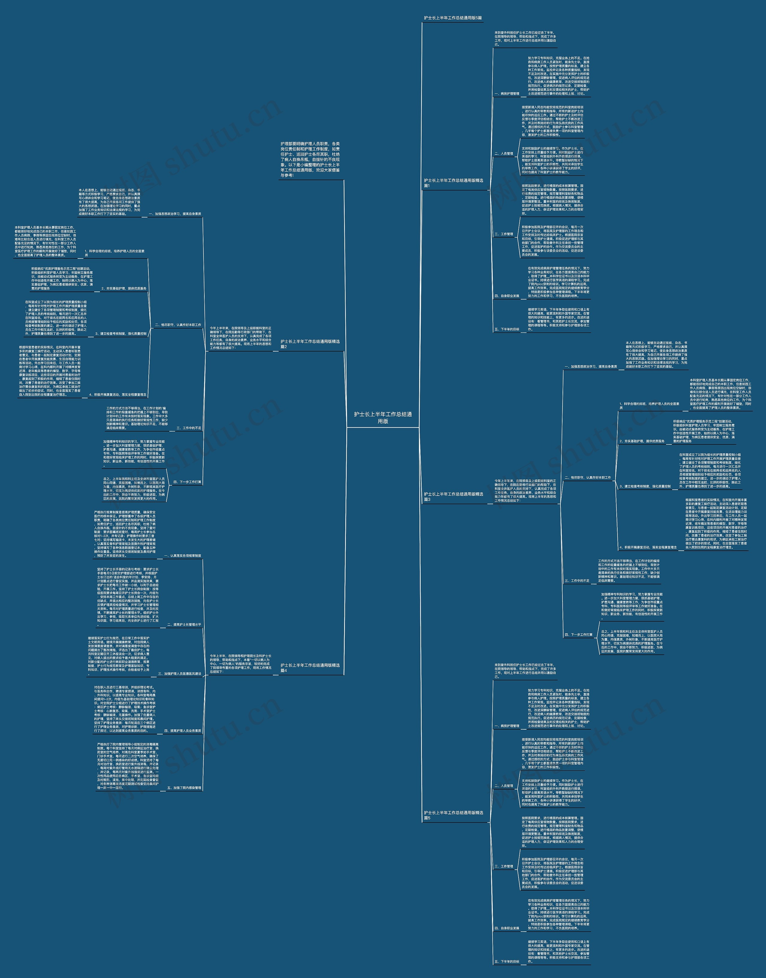 护士长上半年工作总结通用版思维导图
