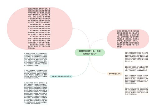 翡翠里的棉是什么   翡翠的棉能不能化开