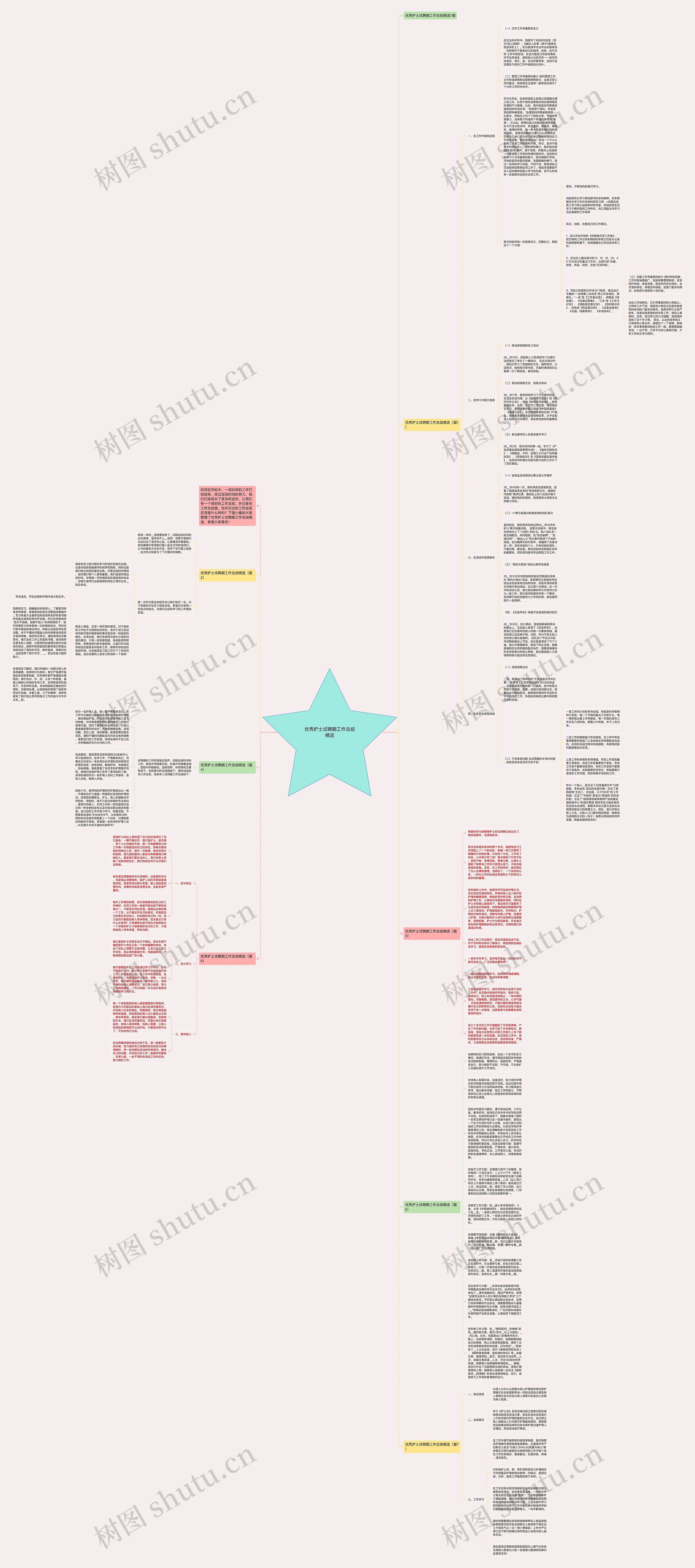 优秀护士试聘期工作总结精选思维导图