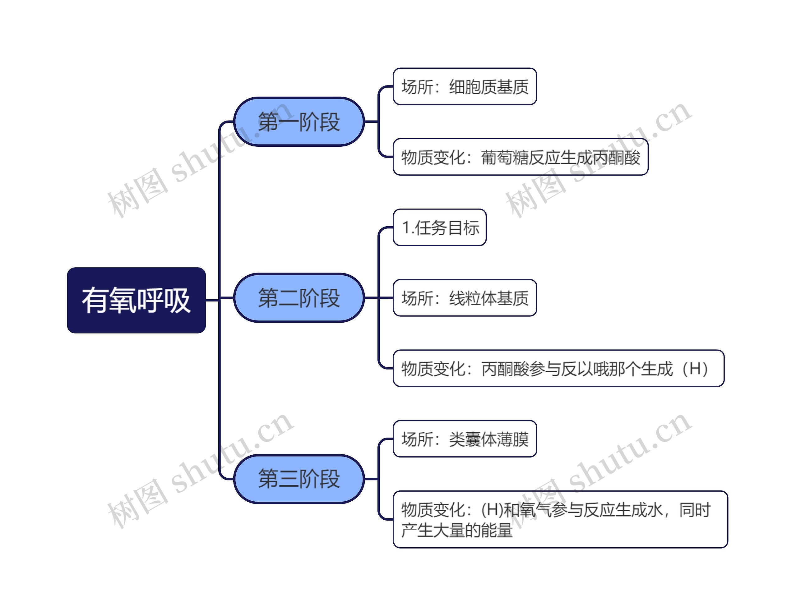 有氧呼吸