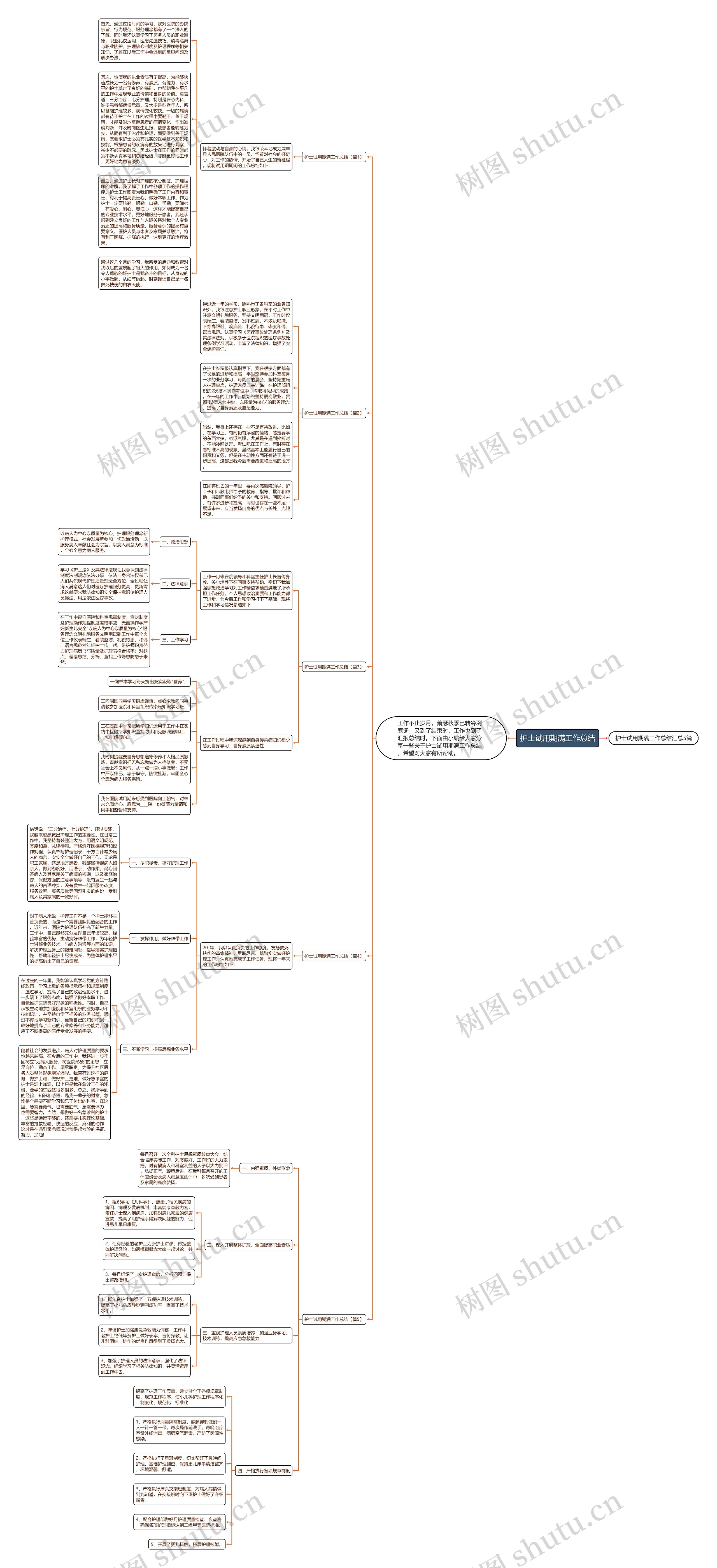 护士试用期满工作总结思维导图