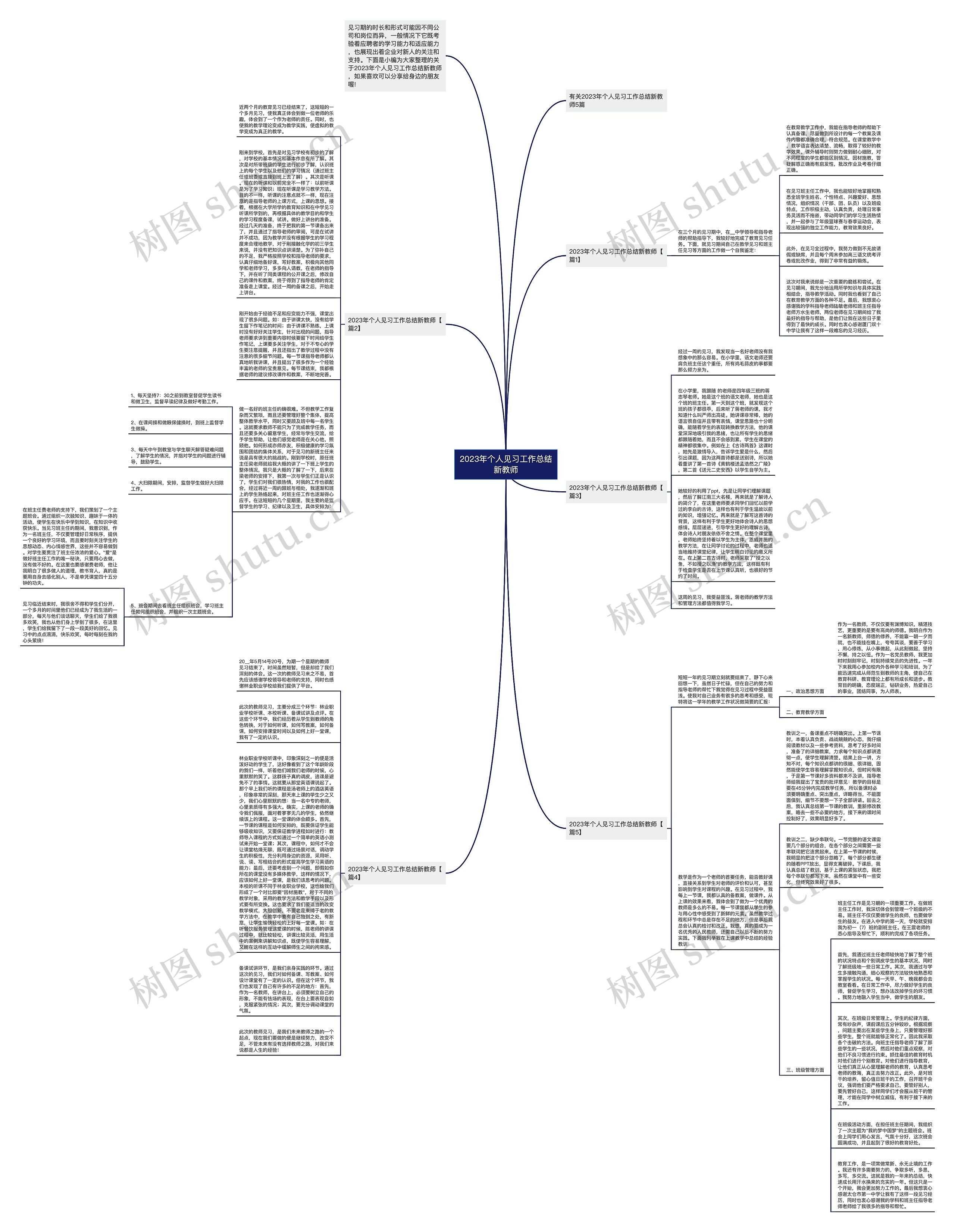 2023年个人见习工作总结新教师思维导图
