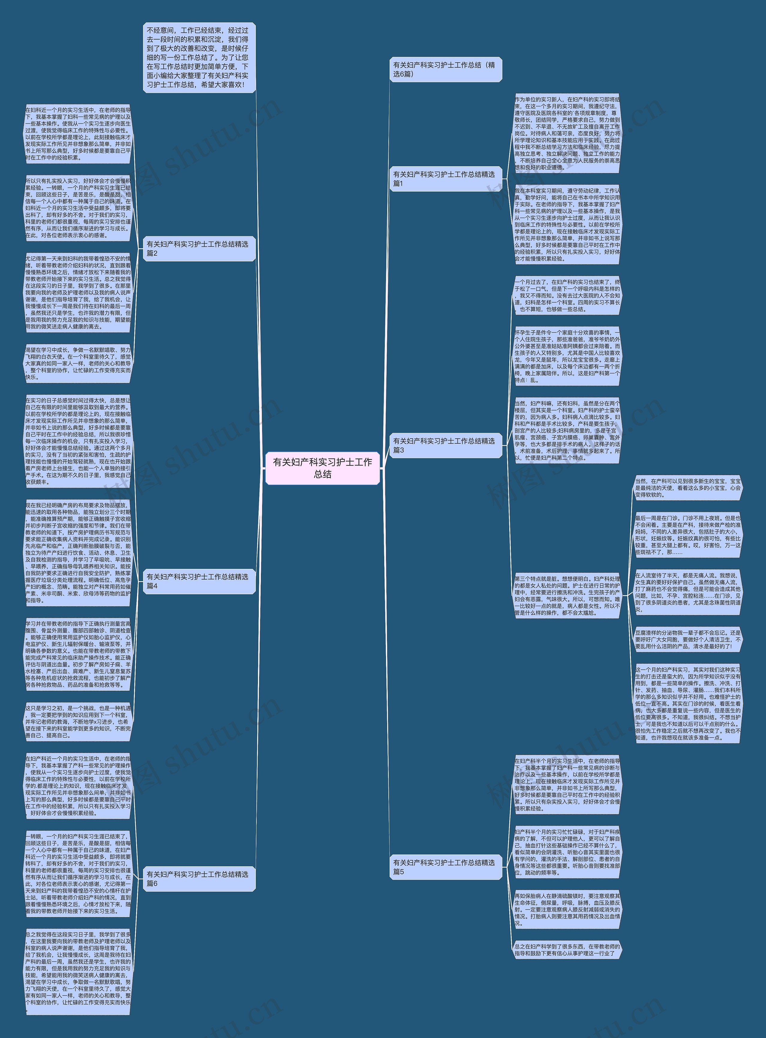 有关妇产科实习护士工作总结思维导图