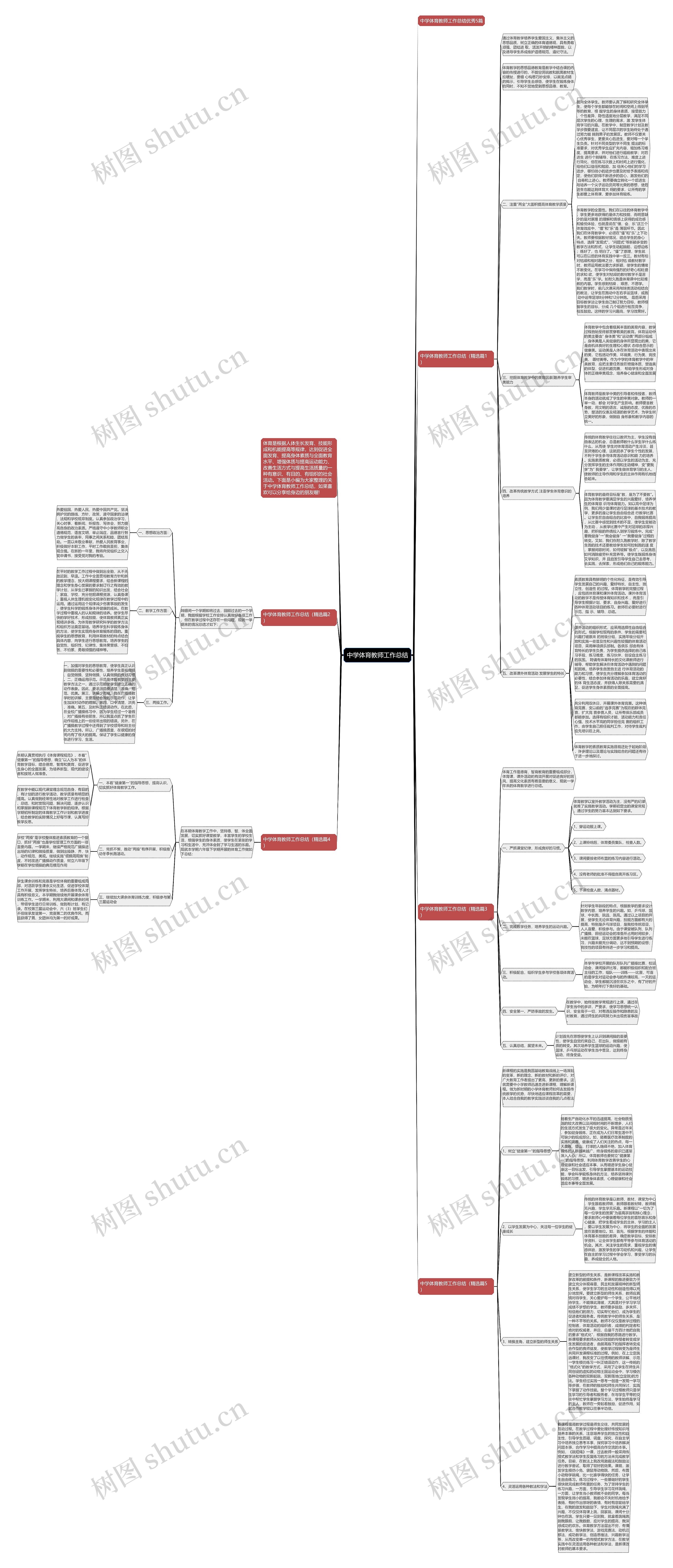 中学体育教师工作总结思维导图