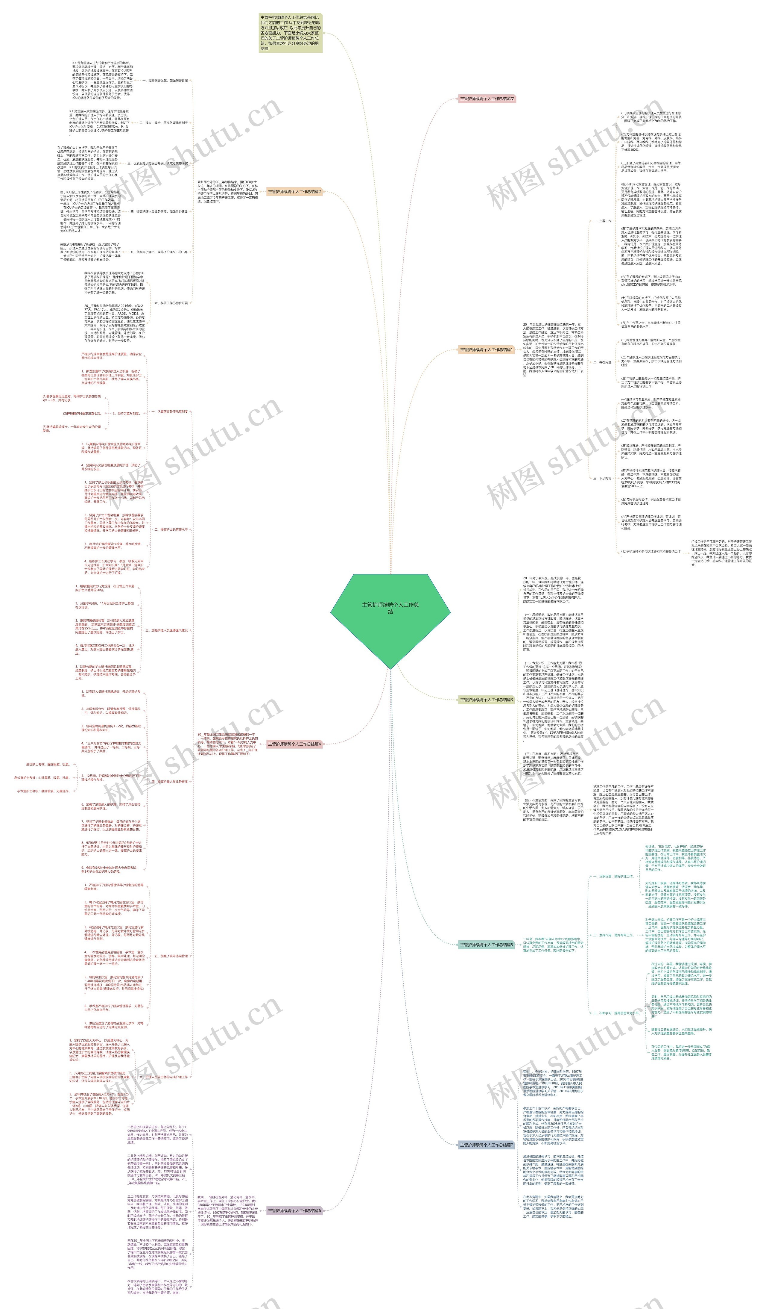 主管护师续聘个人工作总结思维导图