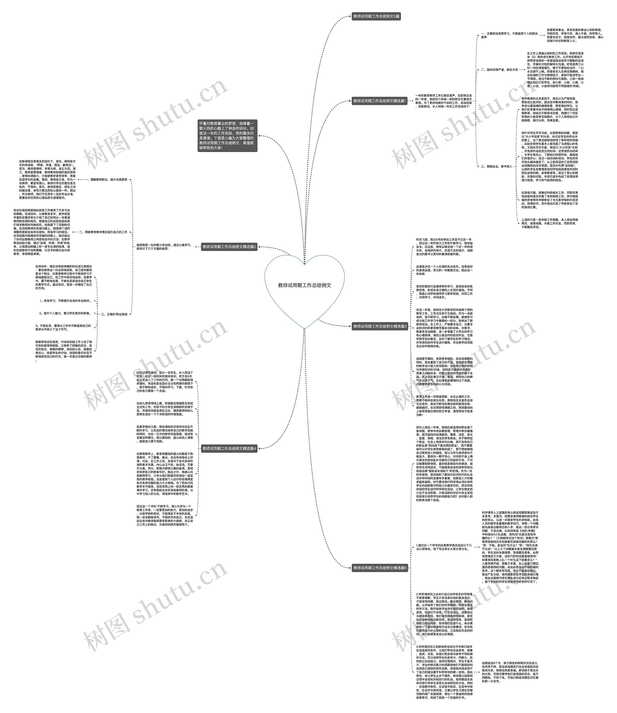 教师试用期工作总结例文思维导图