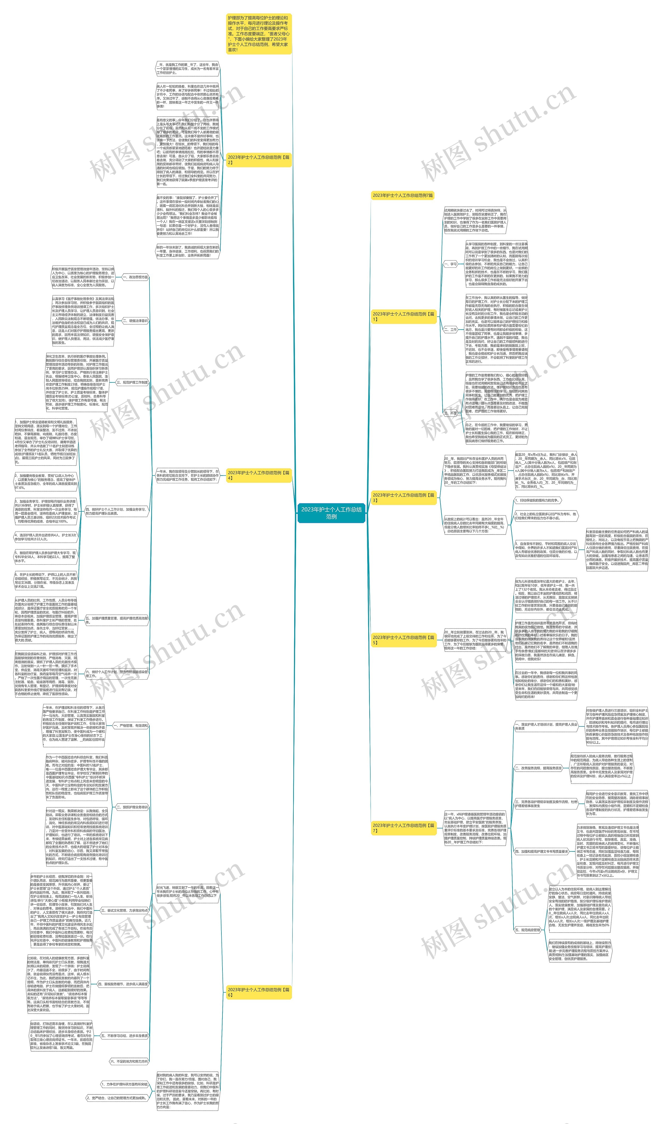 2023年护士个人工作总结范例思维导图