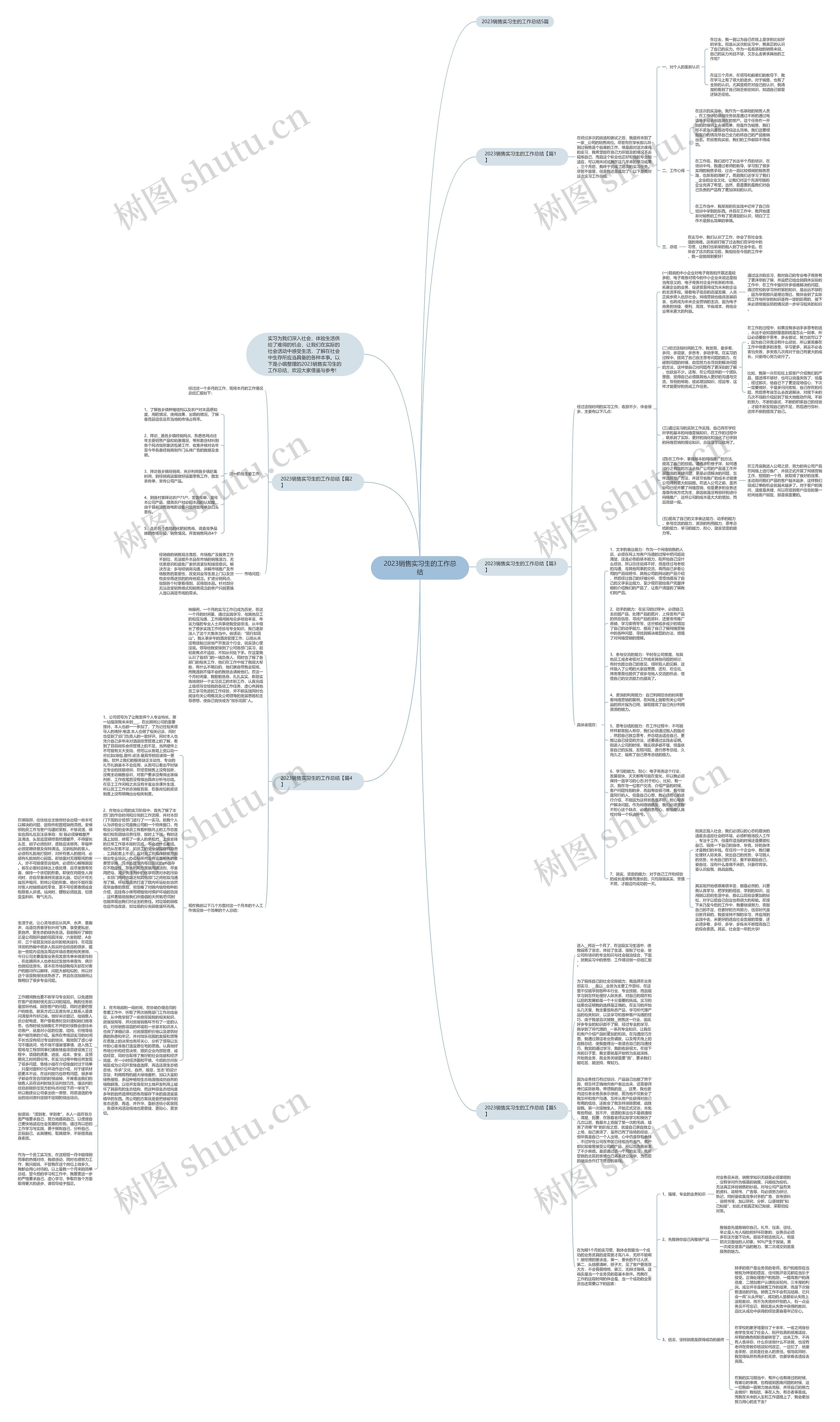 2023销售实习生的工作总结思维导图