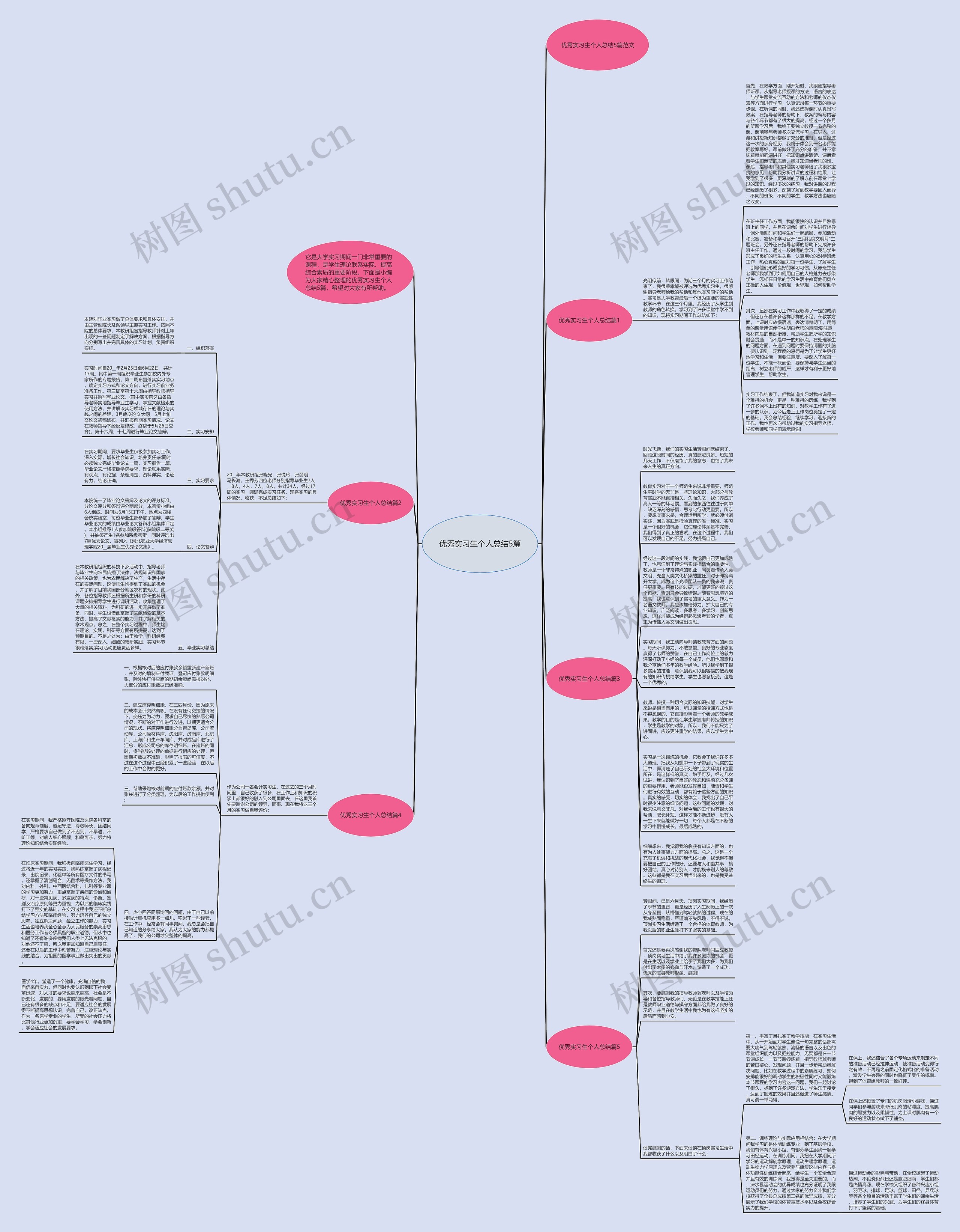 优秀实习生个人总结5篇思维导图