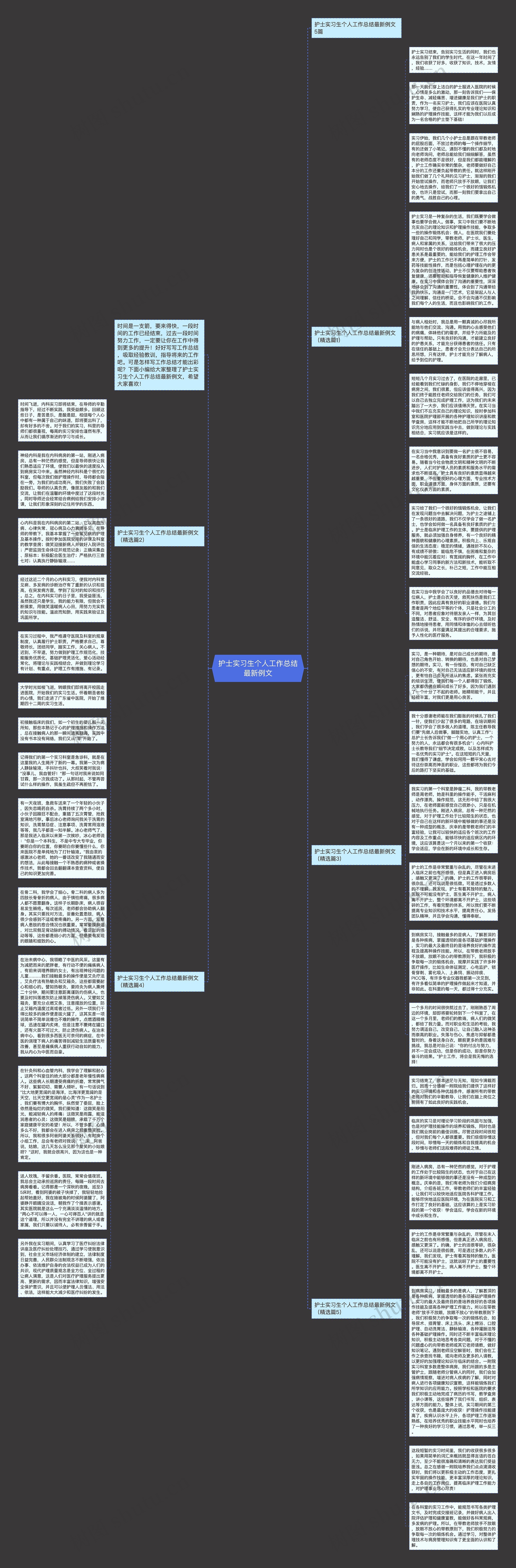 护士实习生个人工作总结最新例文思维导图