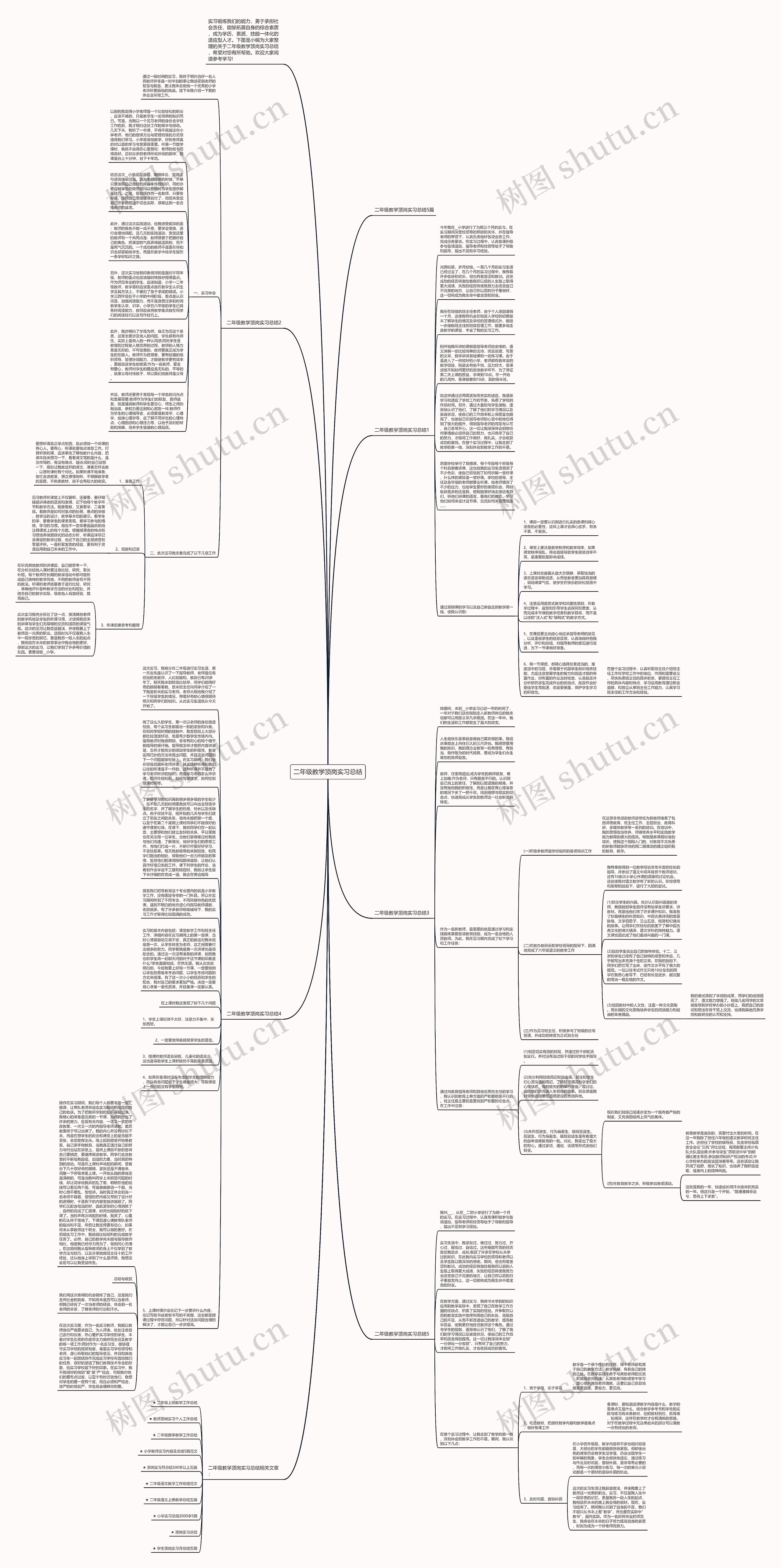 二年级教学顶岗实习总结思维导图
