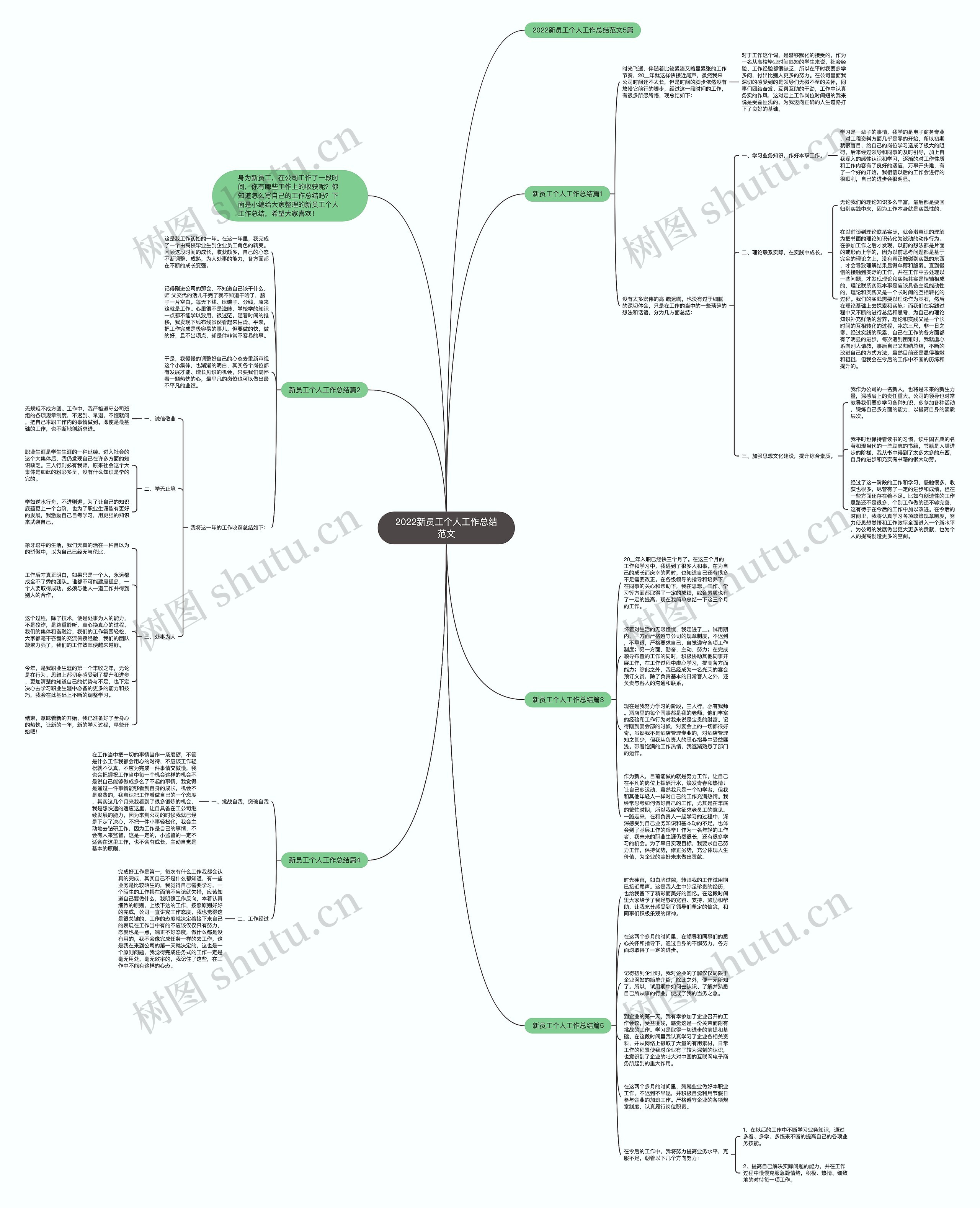 2022新员工个人工作总结范文思维导图