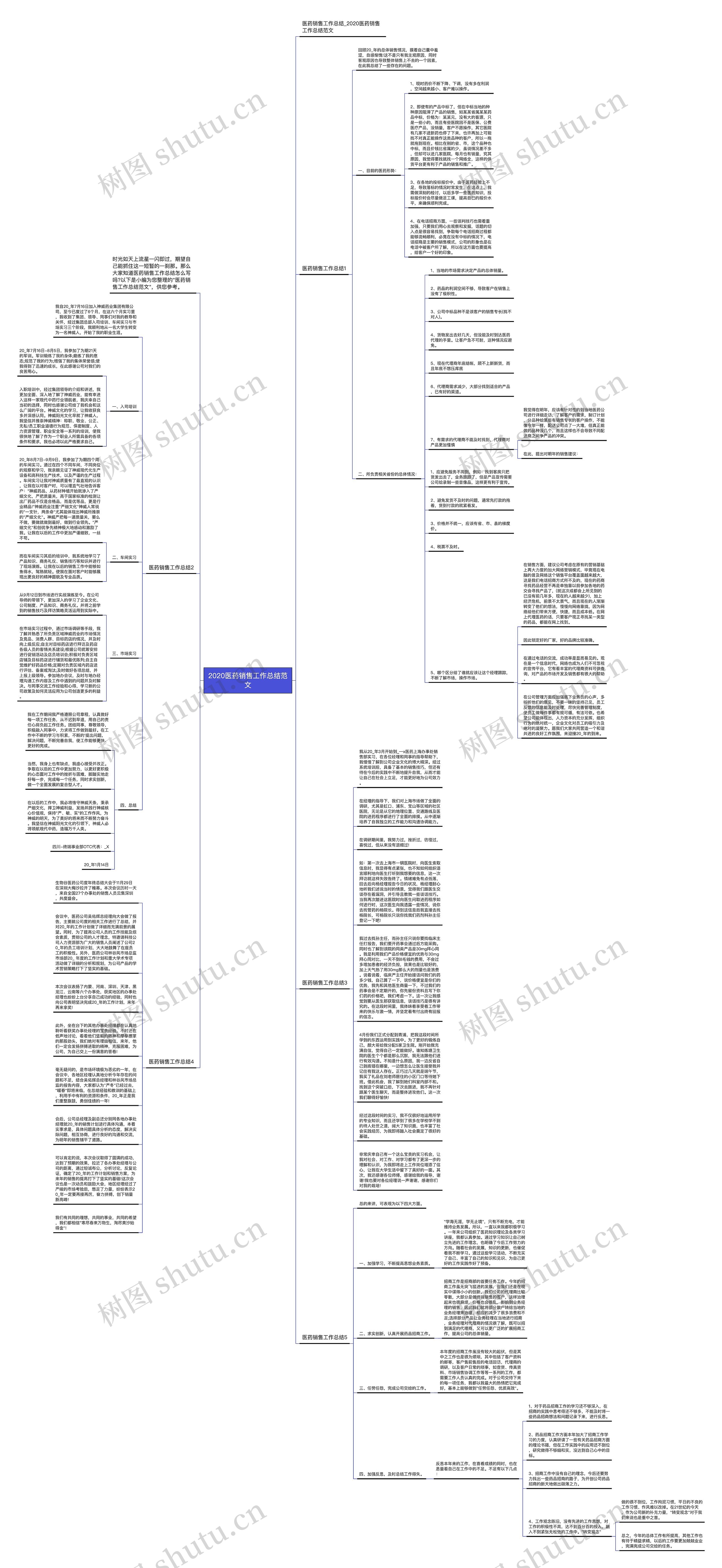 2020医药销售工作总结范文思维导图