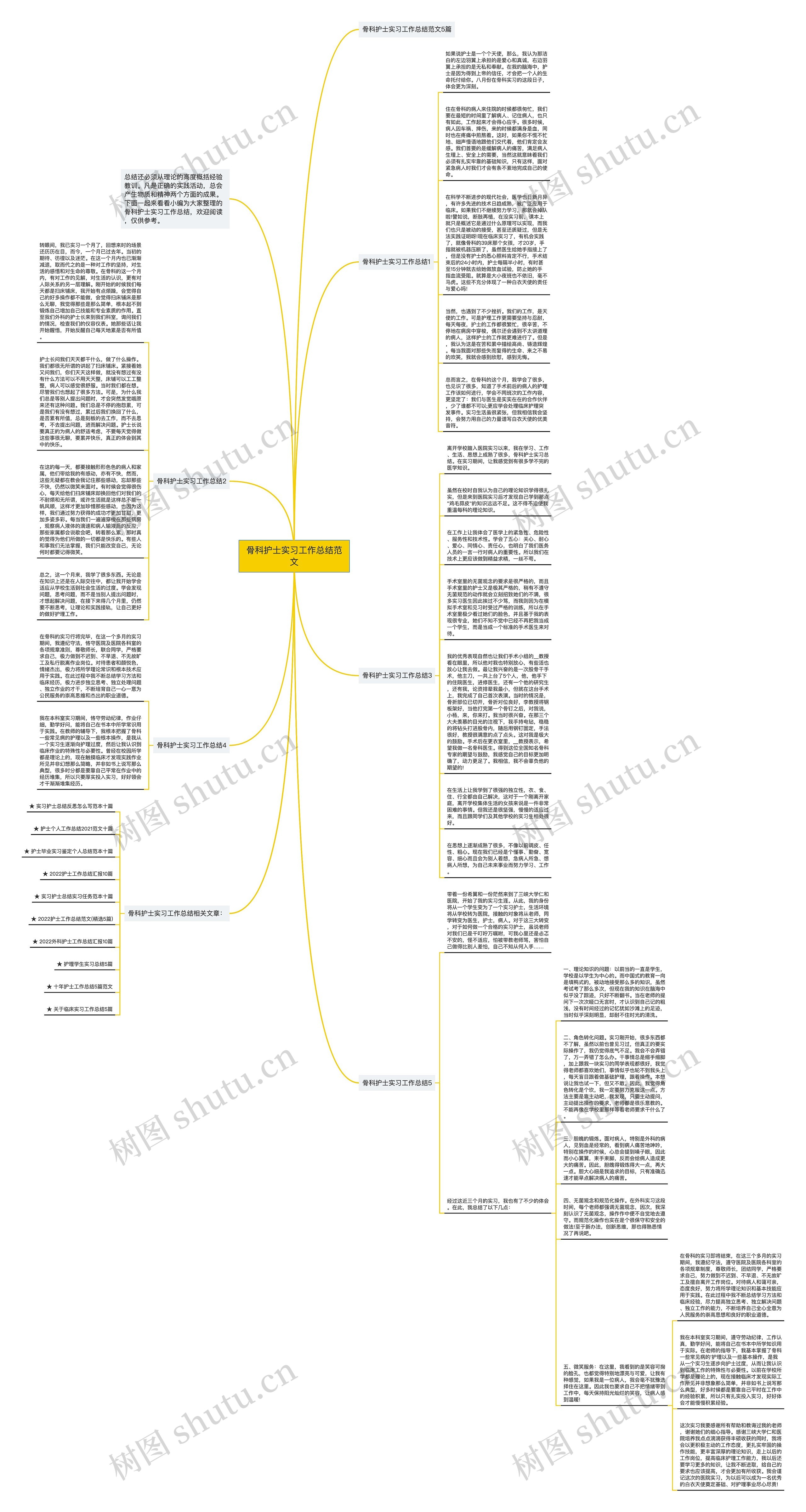 骨科护士实习工作总结范文思维导图高清图 骨科护士实习工作总结范文思维导图