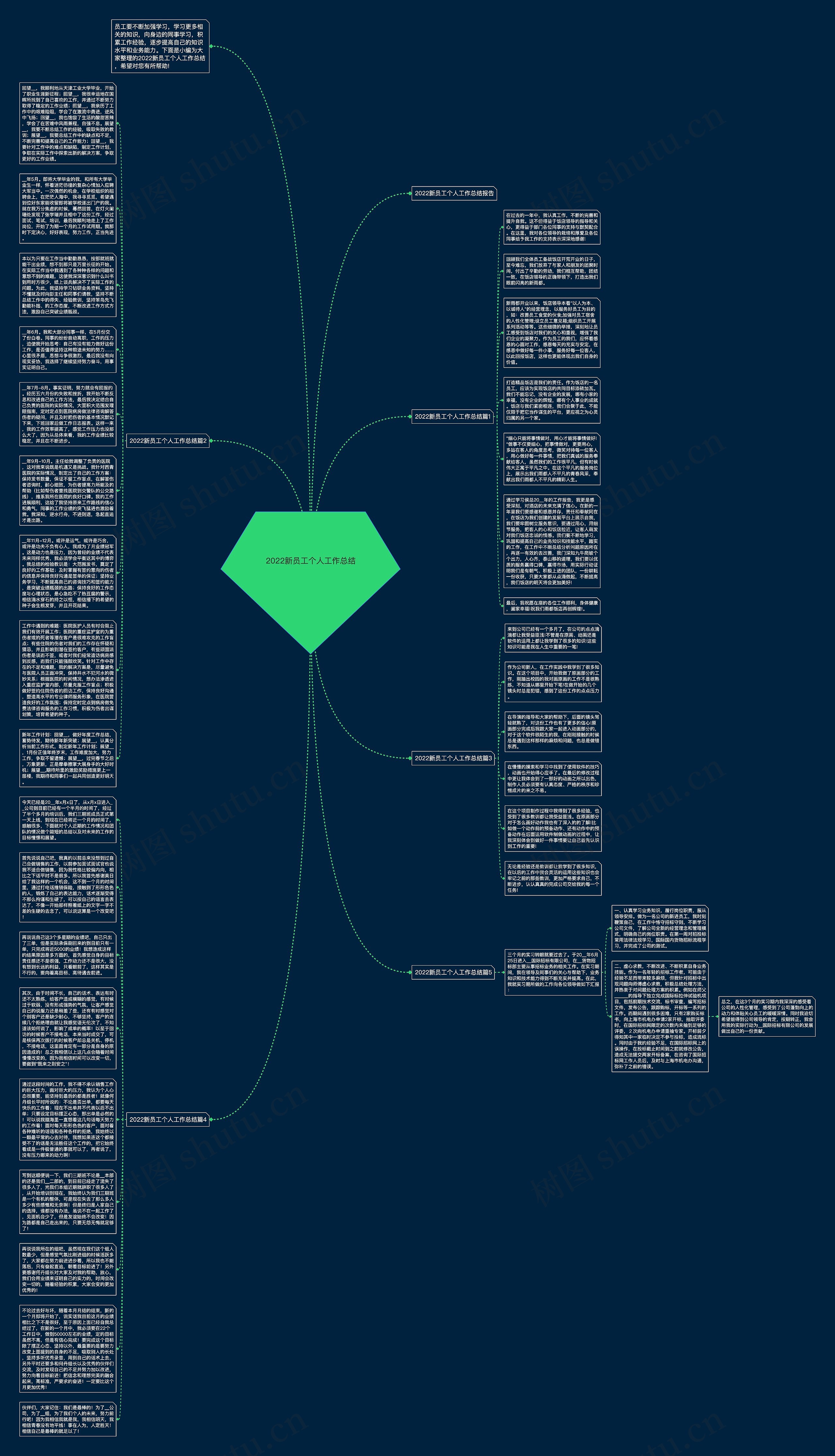 2022新员工个人工作总结思维导图
