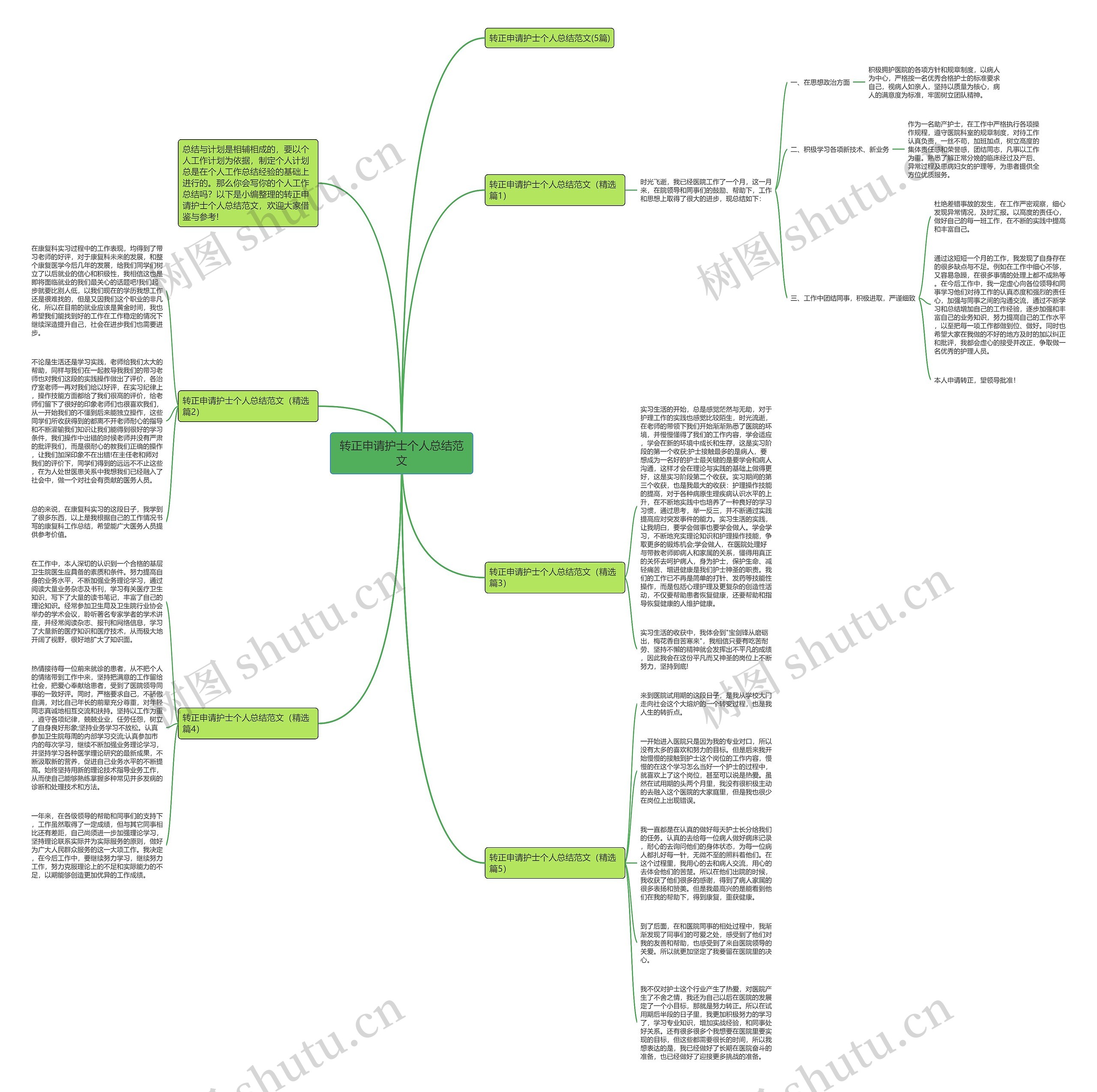 转正申请护士个人总结范文思维导图