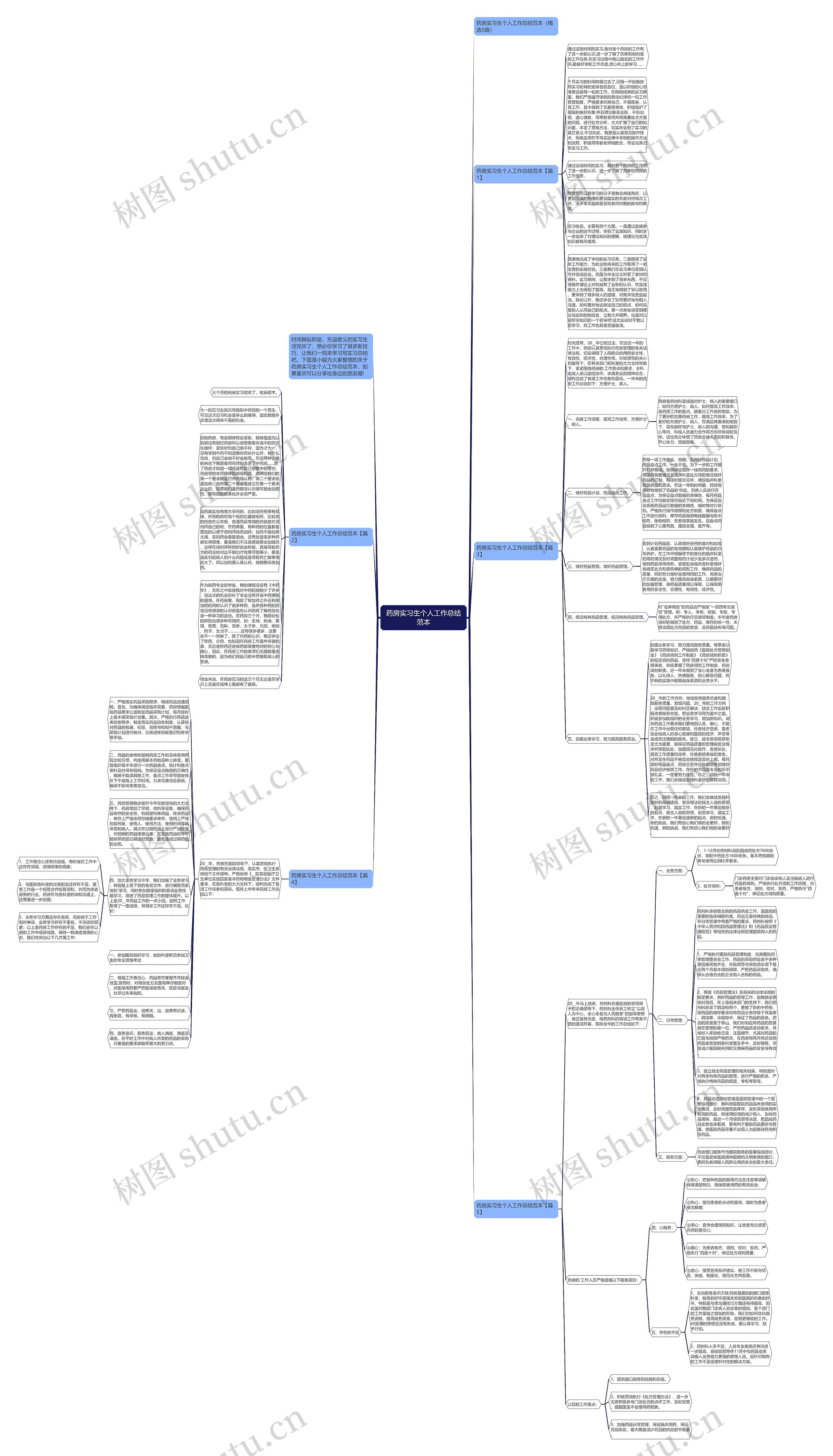 药房实习生个人工作总结范本思维导图