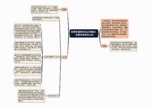 芙蓉种翡翠的特点有哪些   芙蓉种翡翠怎么样