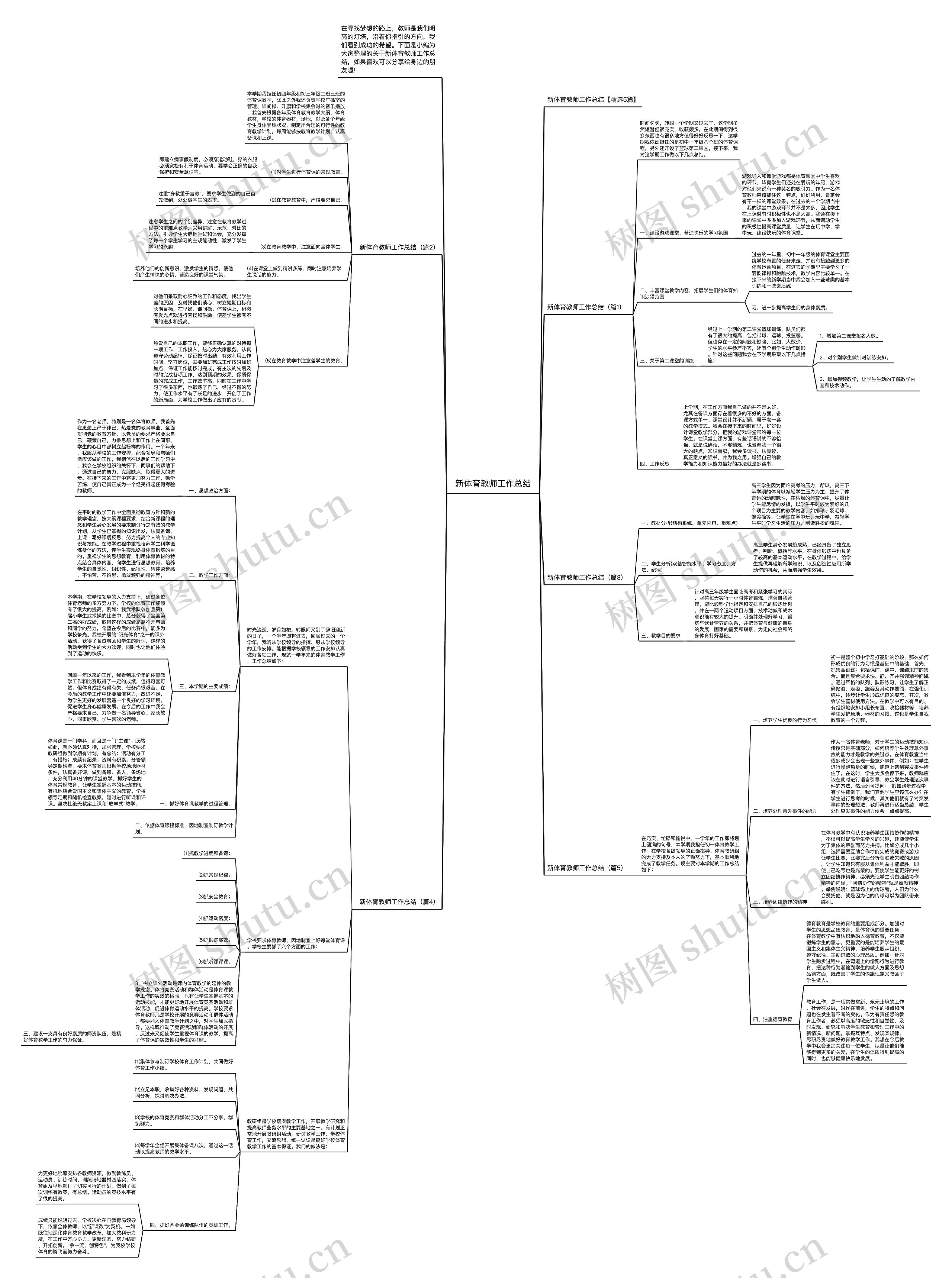 新体育教师工作总结