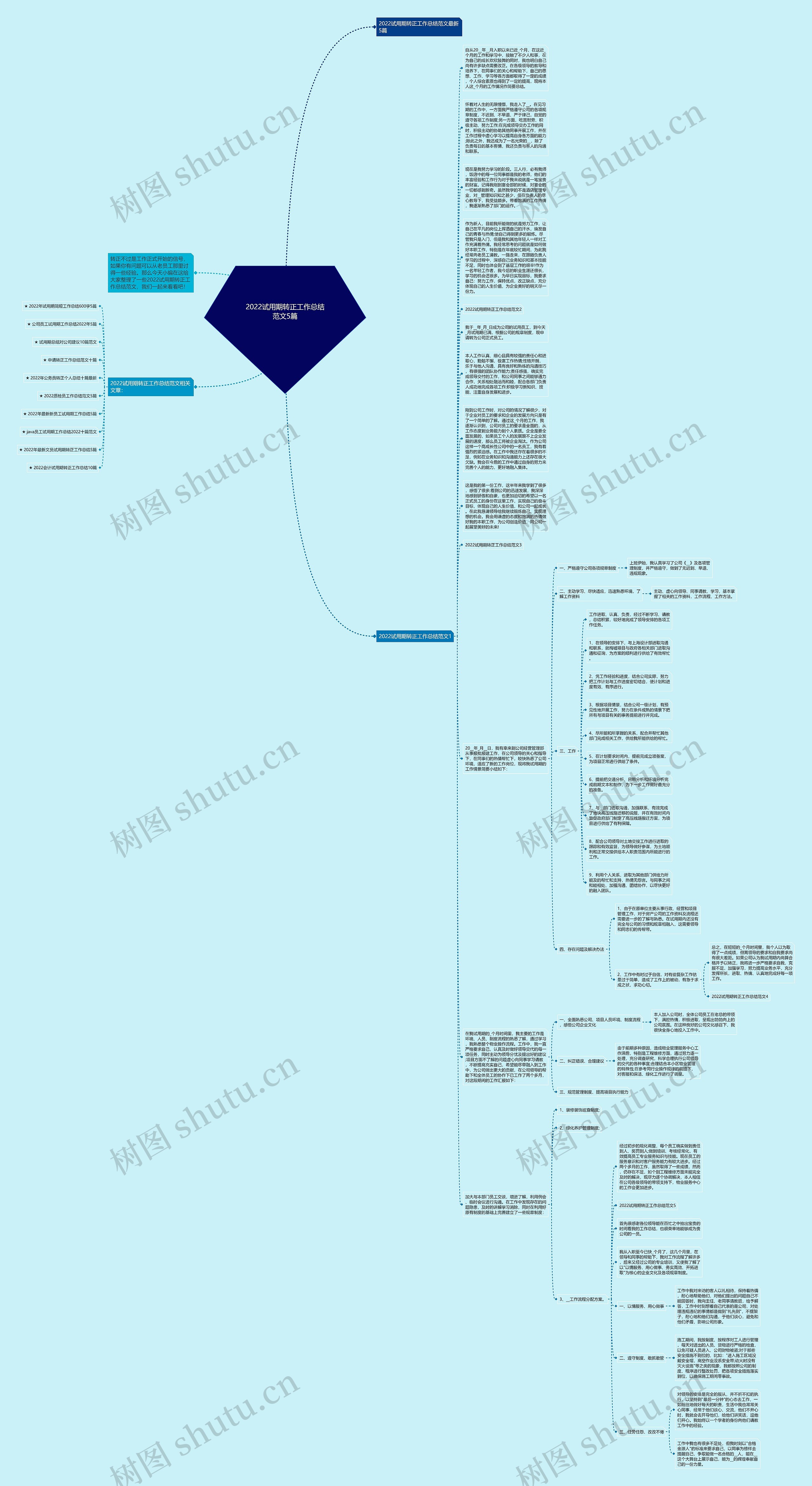 2022试用期转正工作总结范文5篇