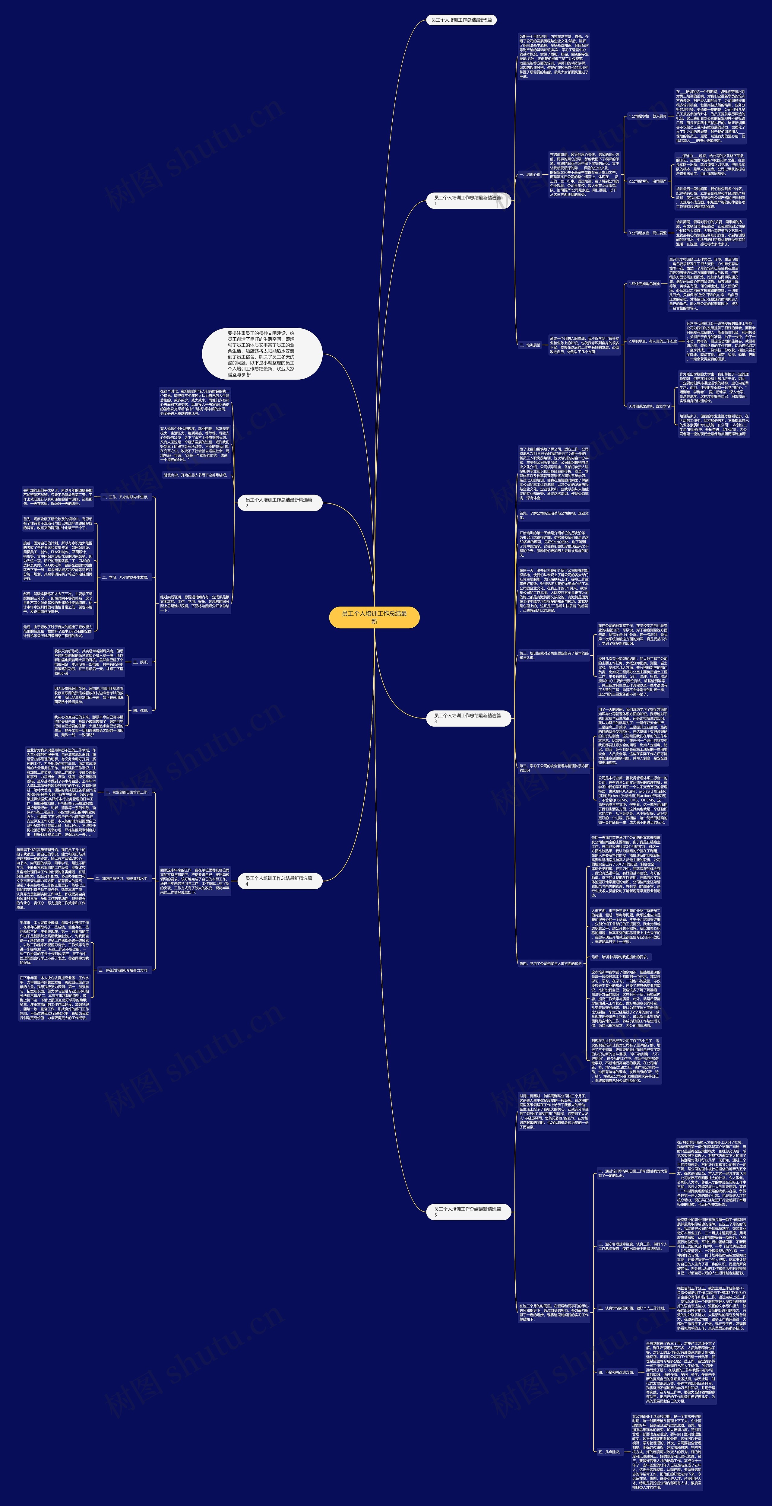 员工个人培训工作总结最新思维导图