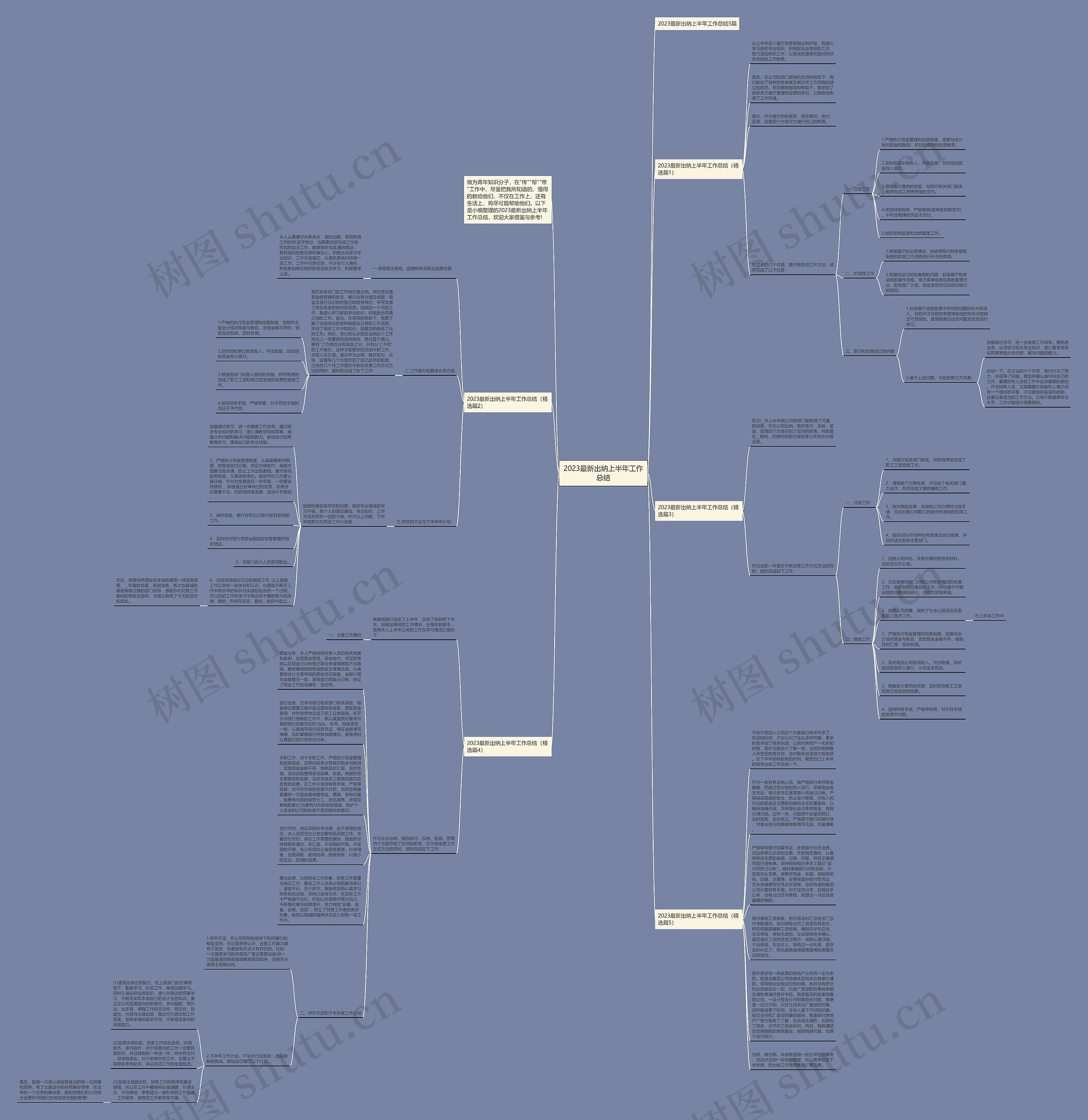 2023最新出纳上半年工作总结思维导图