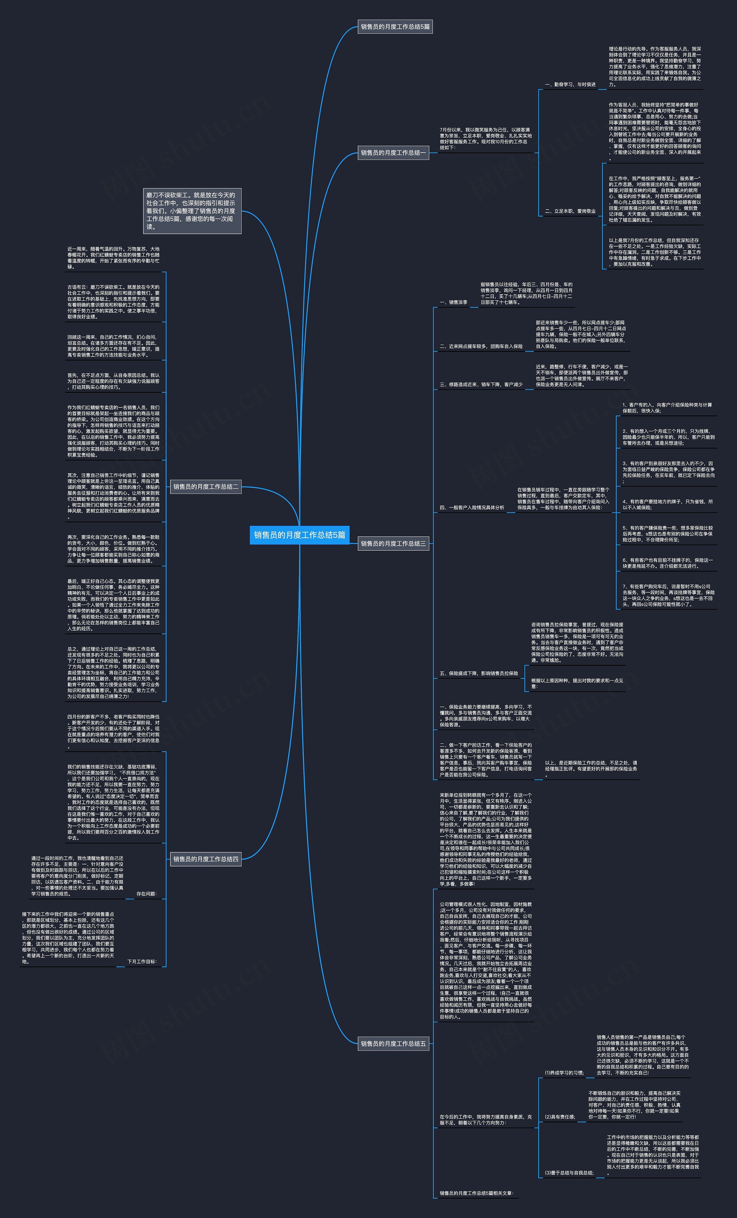 销售员的月度工作总结5篇思维导图高清图 销售员的月度工作总结5篇思维导图