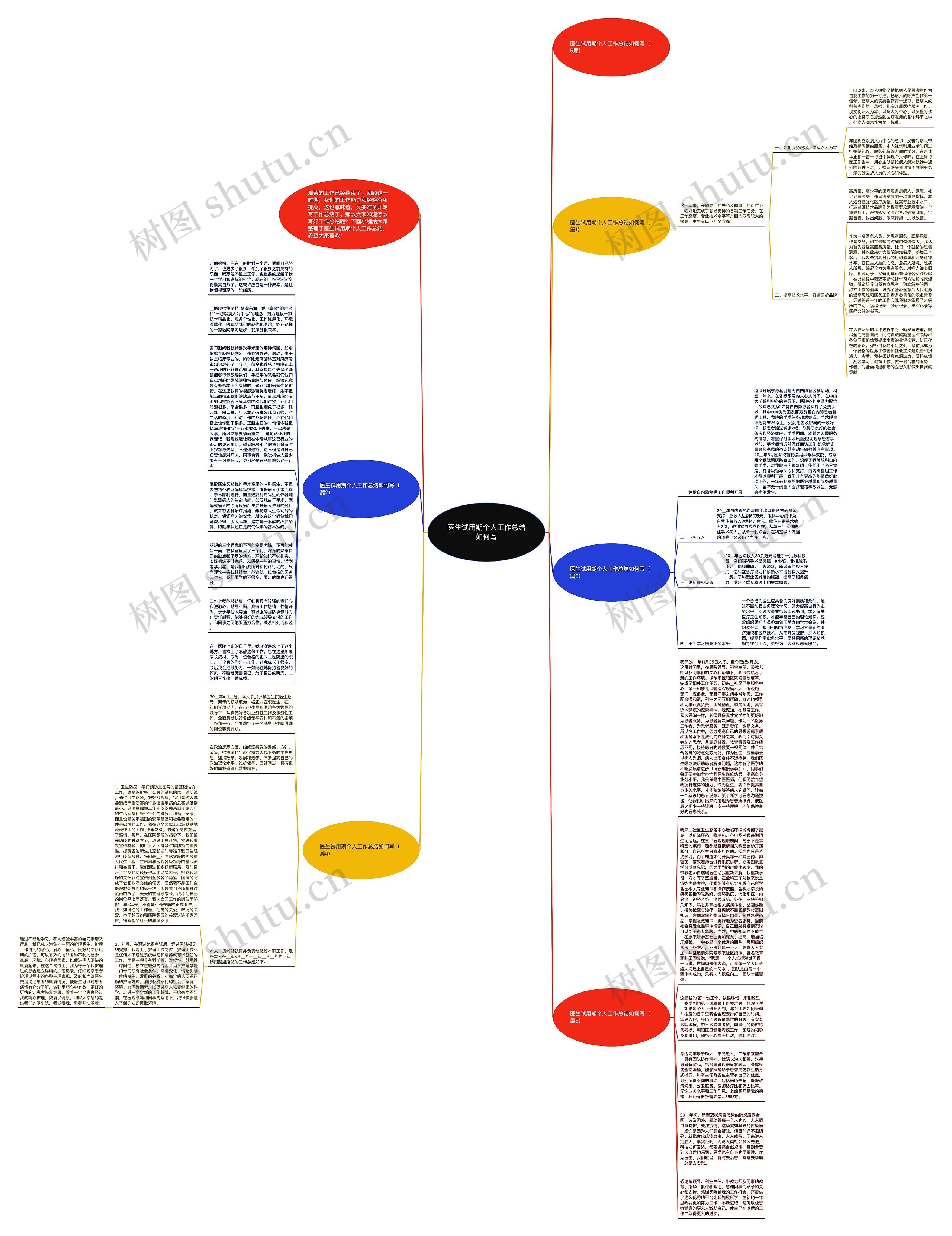 医生试用期个人工作总结如何写思维导图