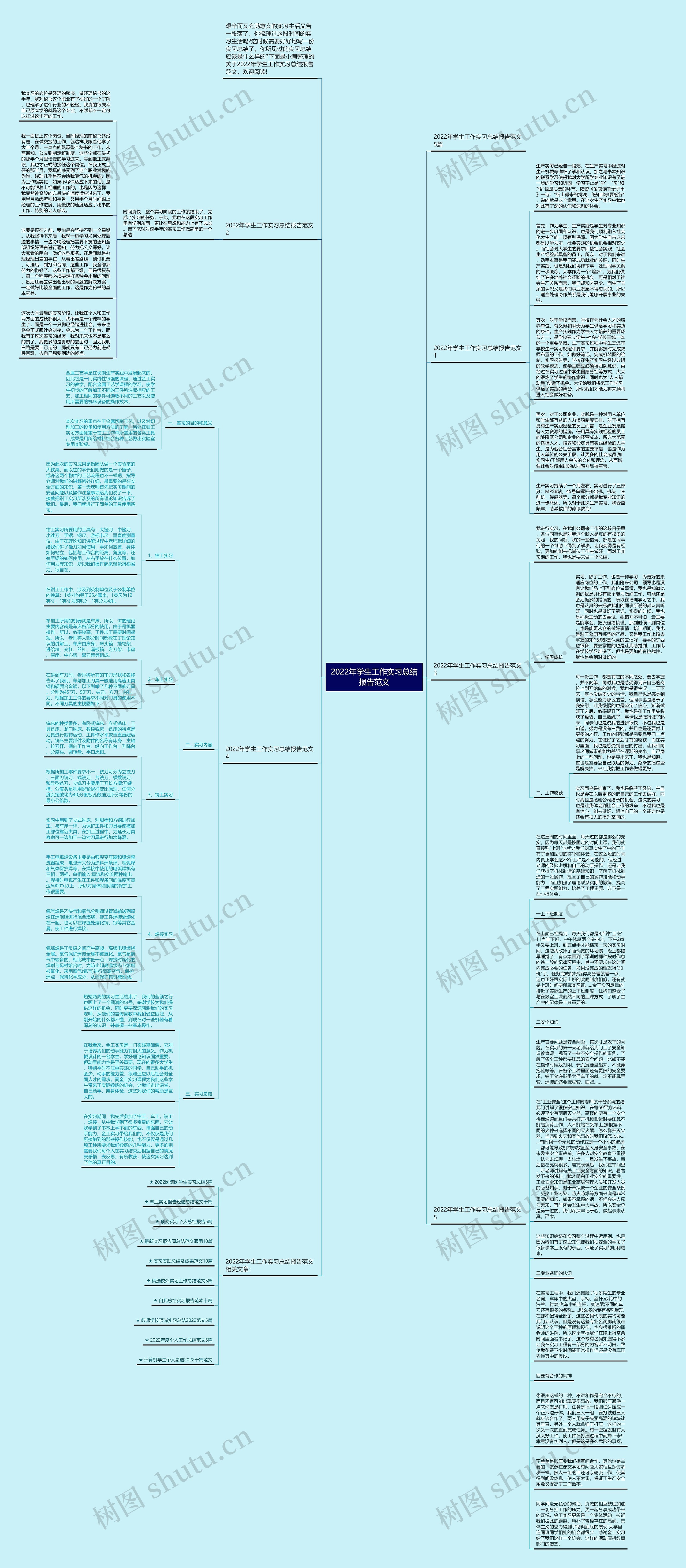 2022年学生工作实习总结报告范文思维导图