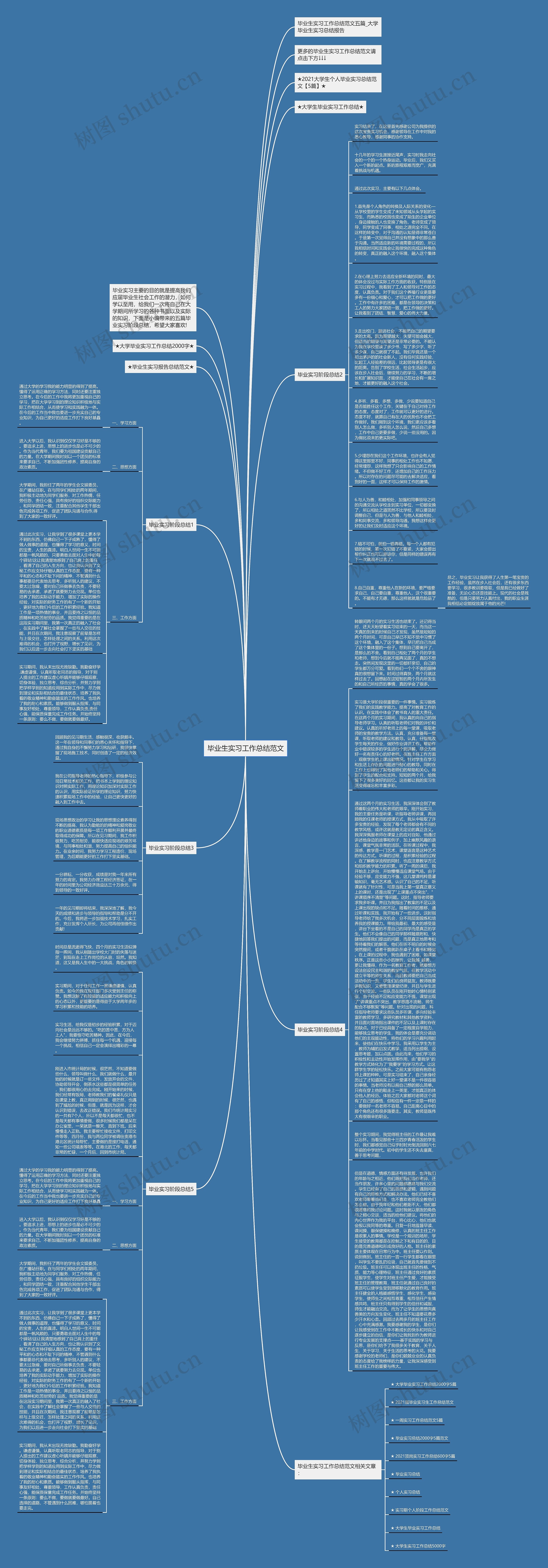 毕业生实习工作总结范文思维导图