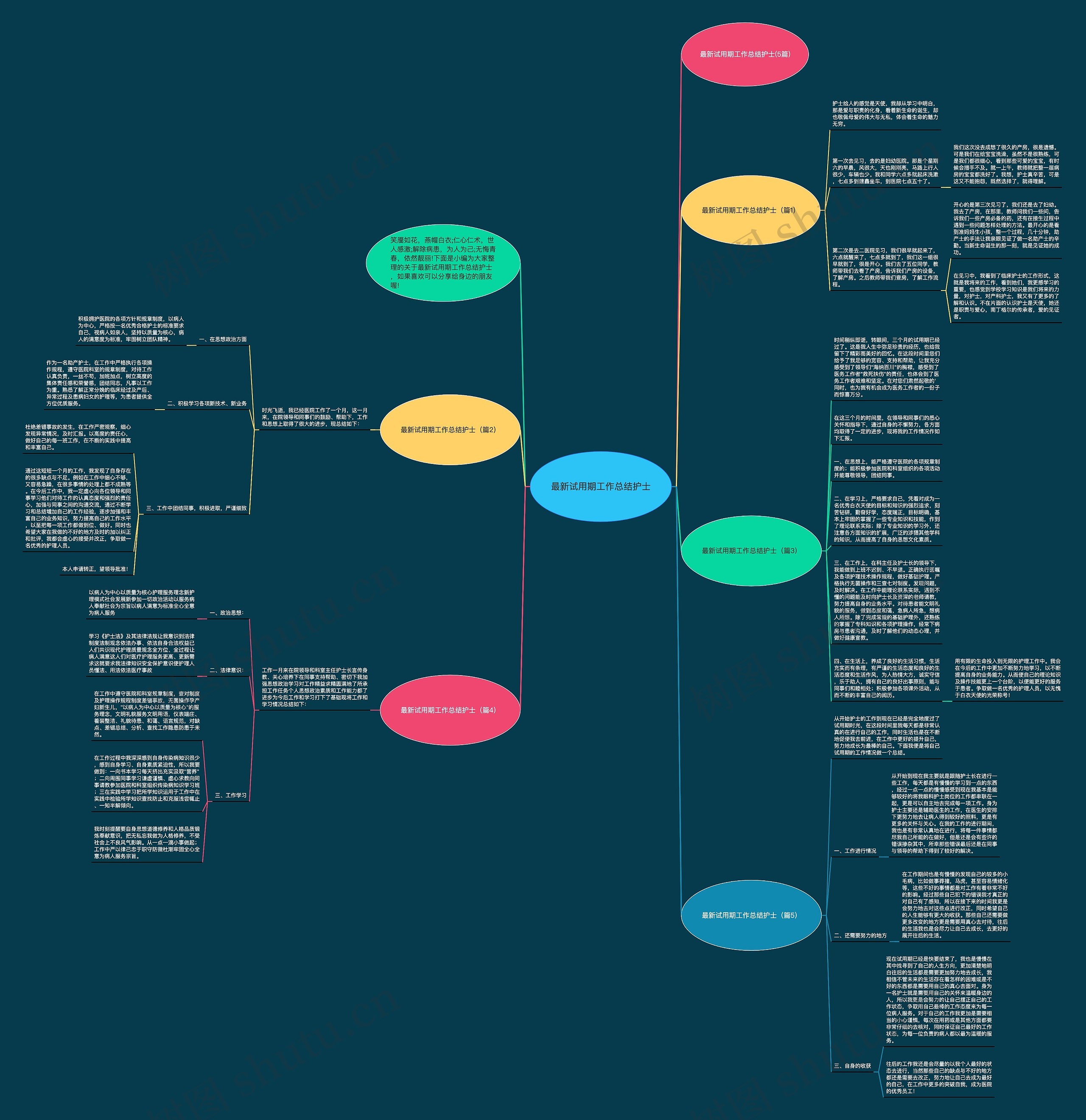 最新试用期工作总结护士思维导图