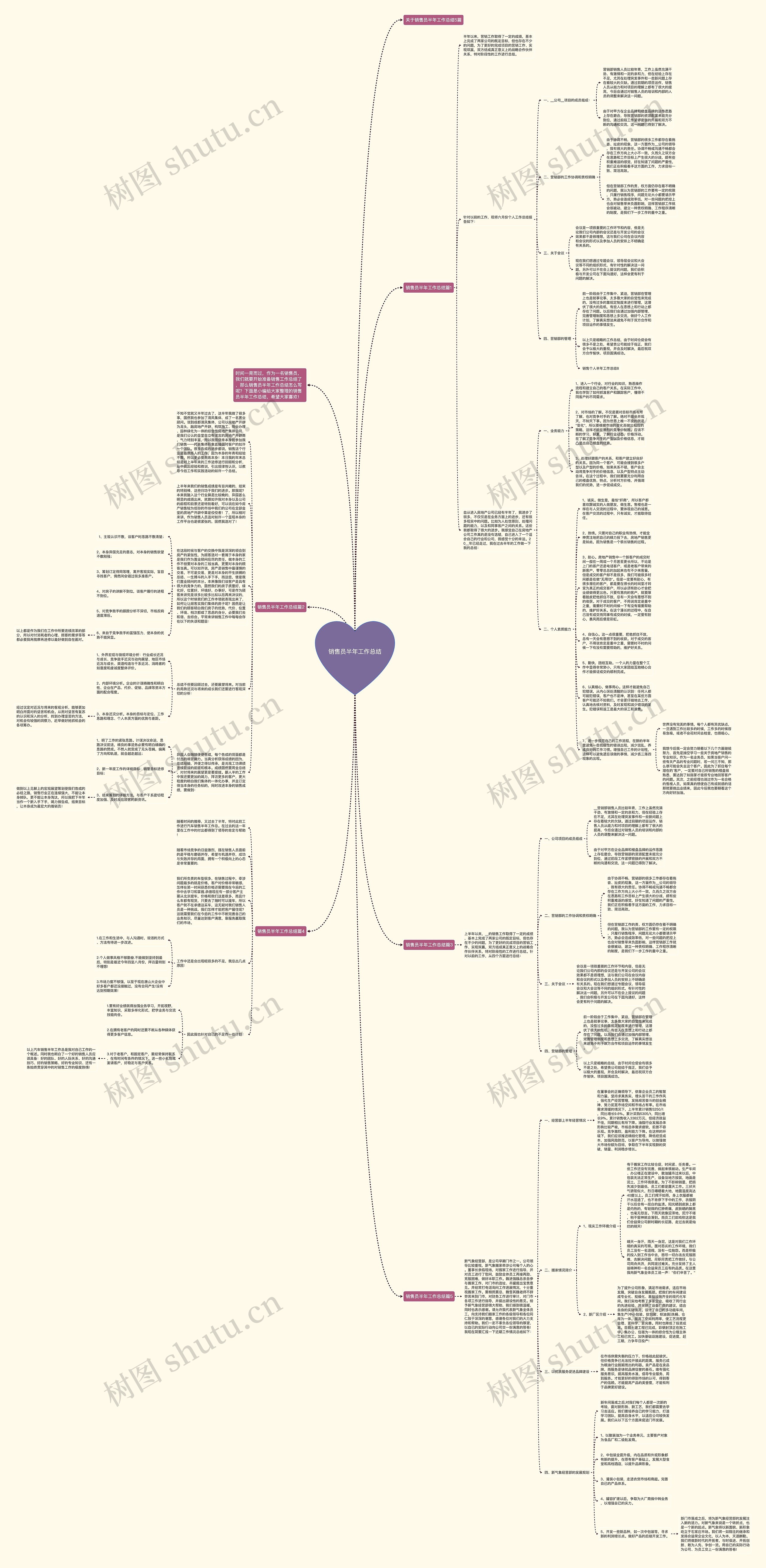 销售员半年工作总结思维导图