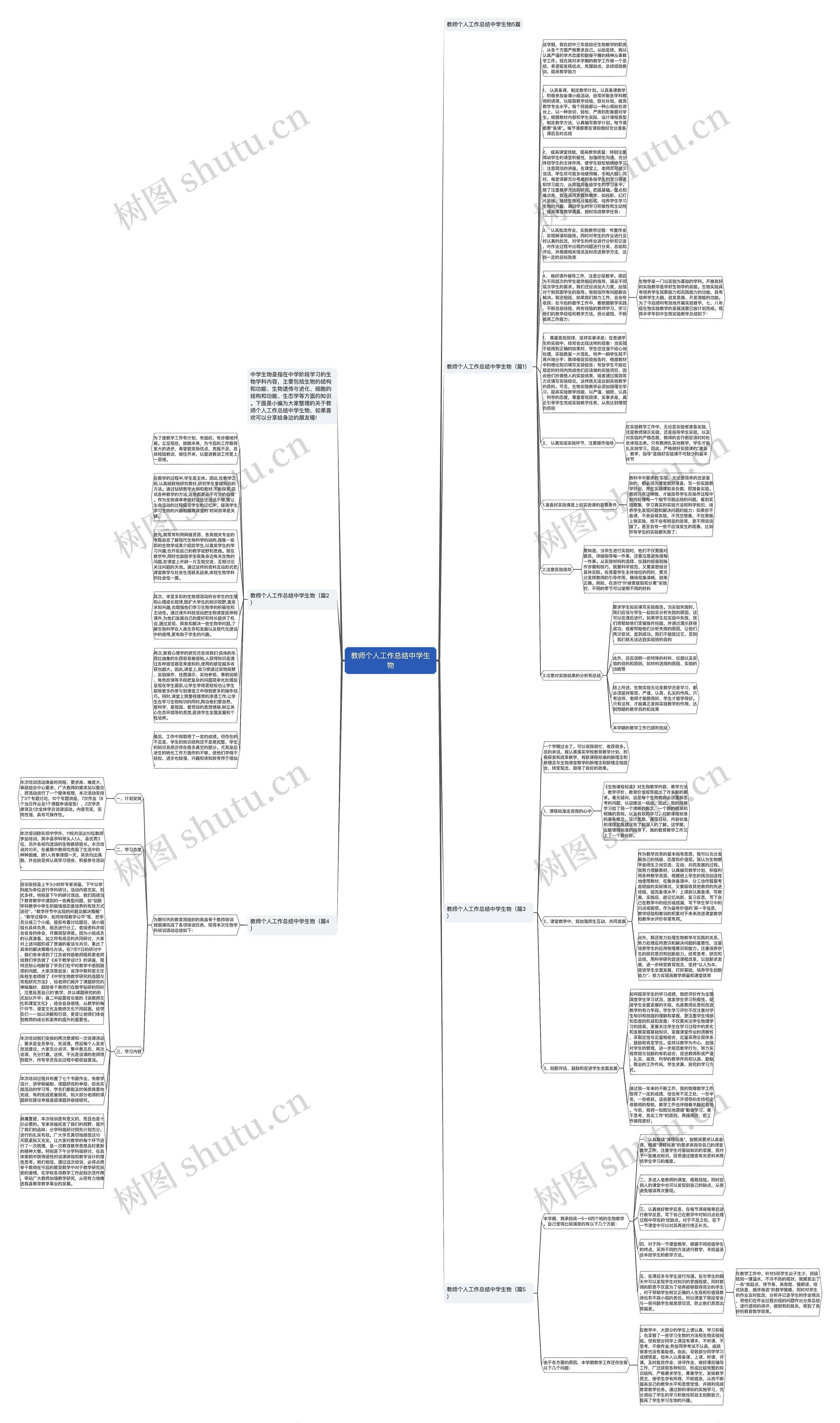 教师个人工作总结中学生物思维导图
