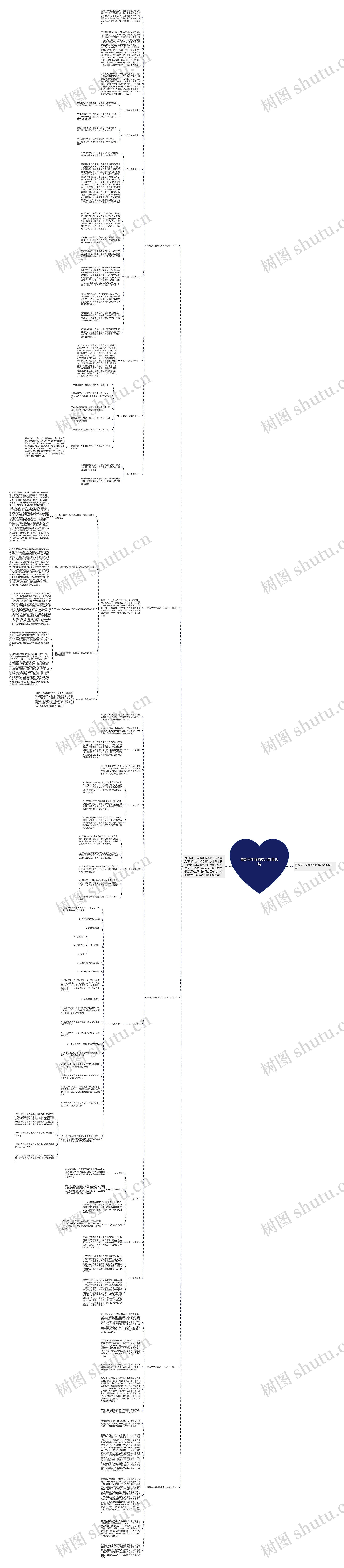 最新学生顶岗实习自我总结思维导图