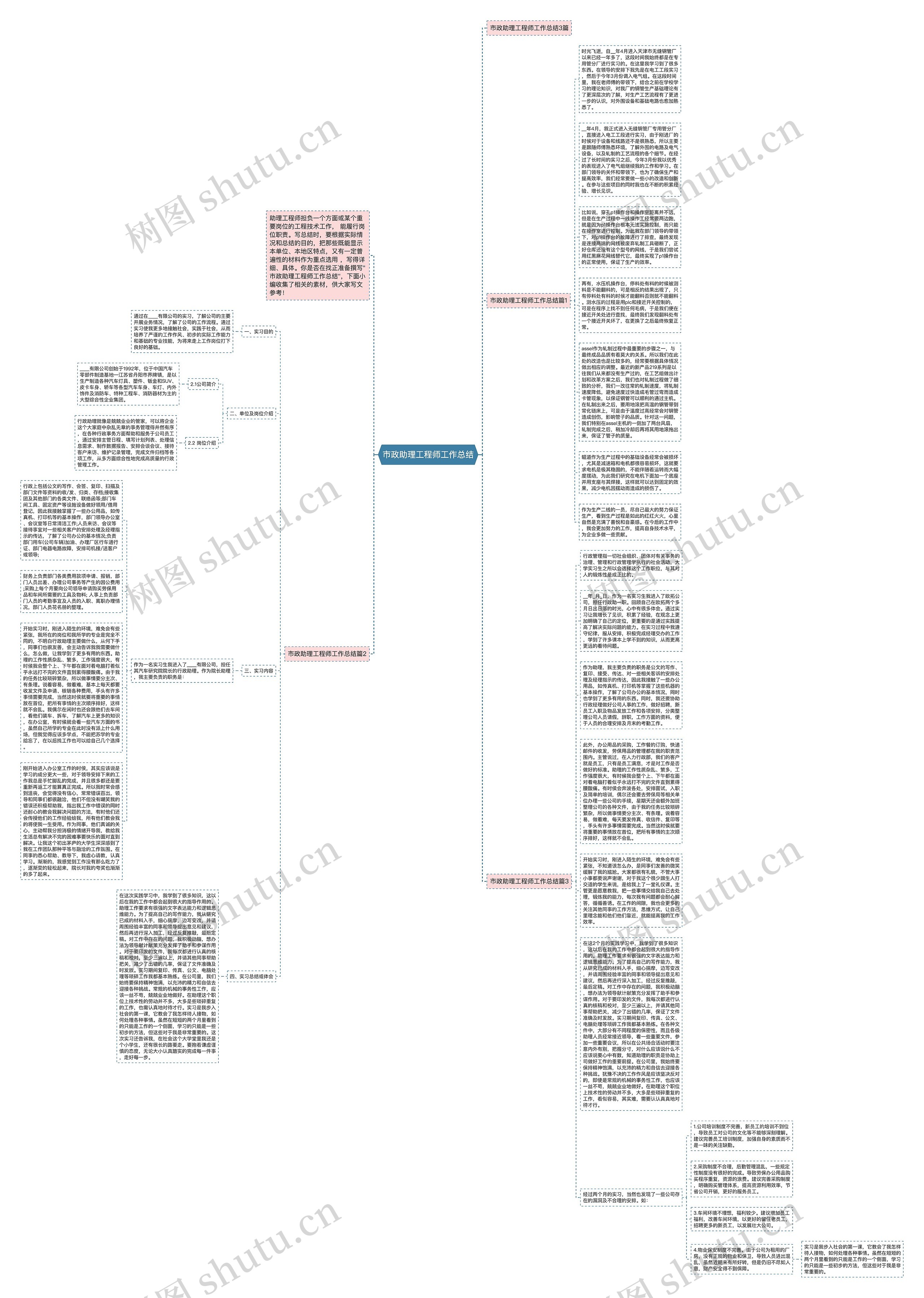 市政助理工程师工作总结思维导图