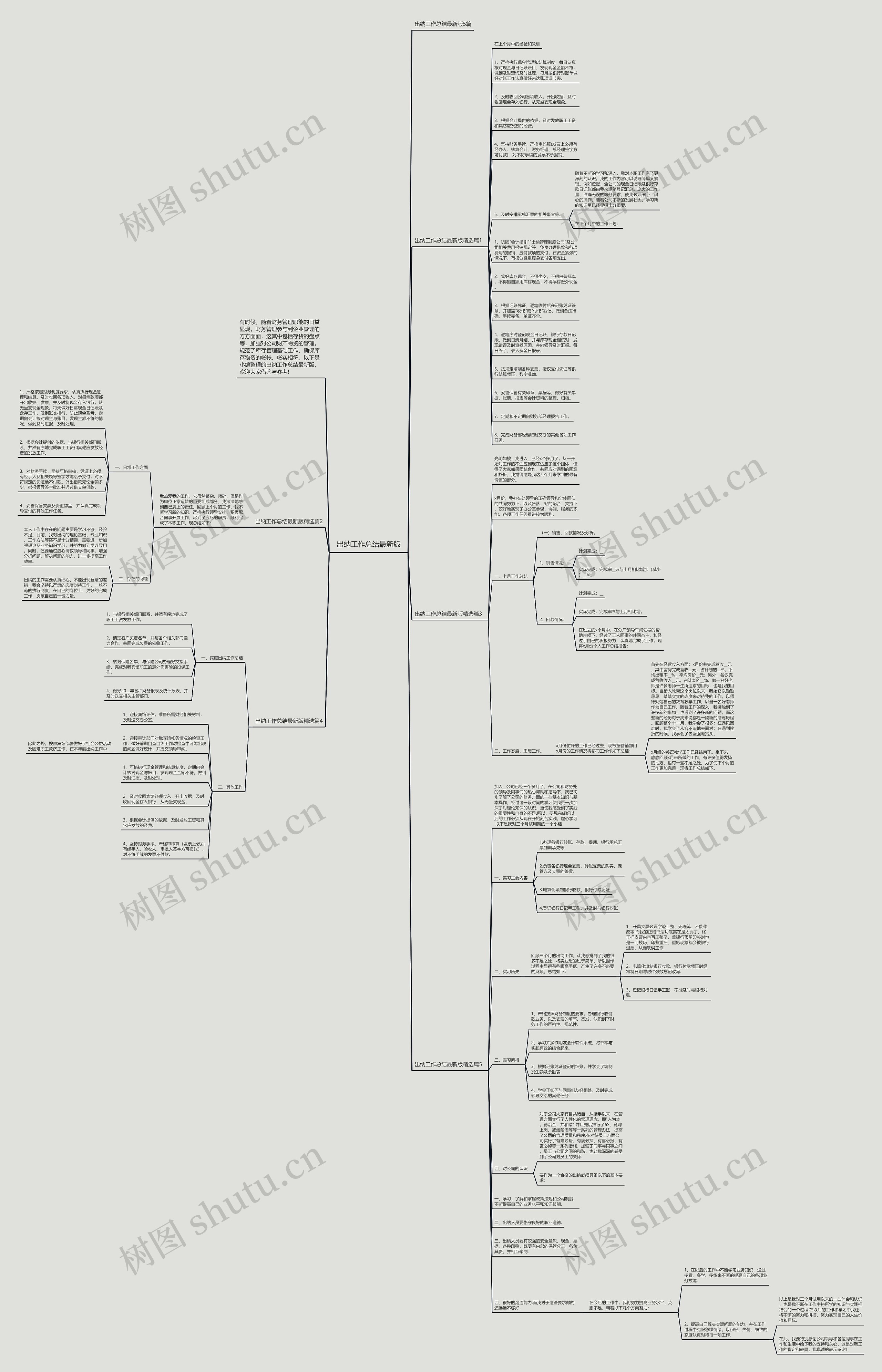 出纳工作总结最新版思维导图