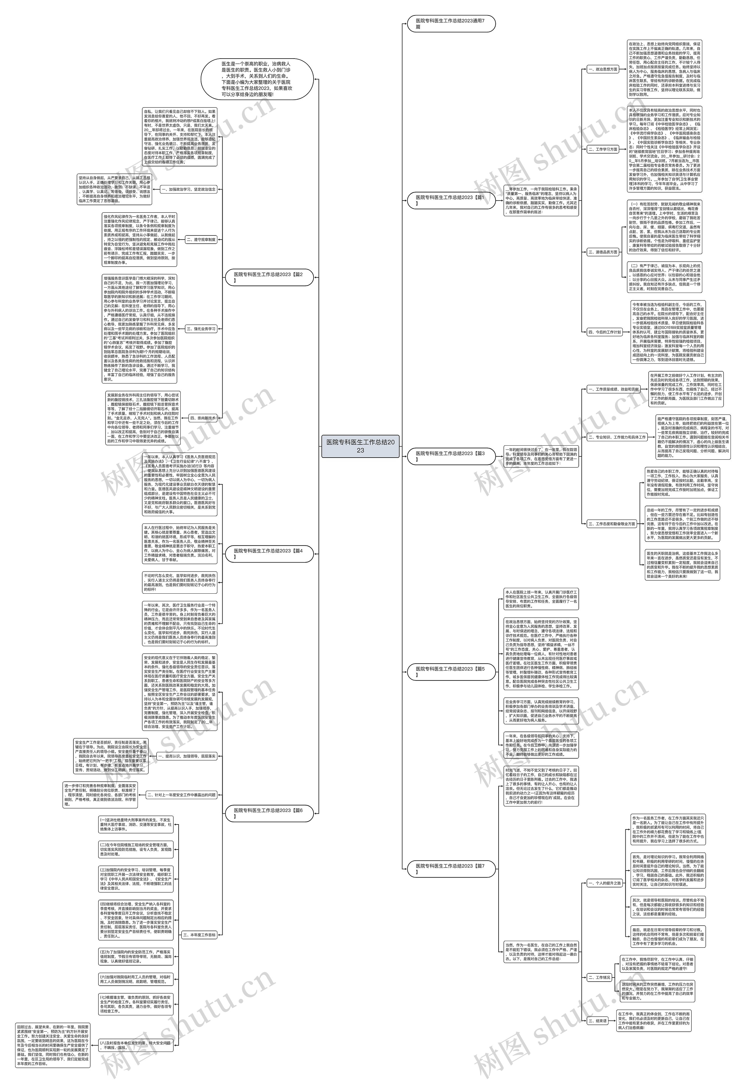 医院专科医生工作总结2023思维导图