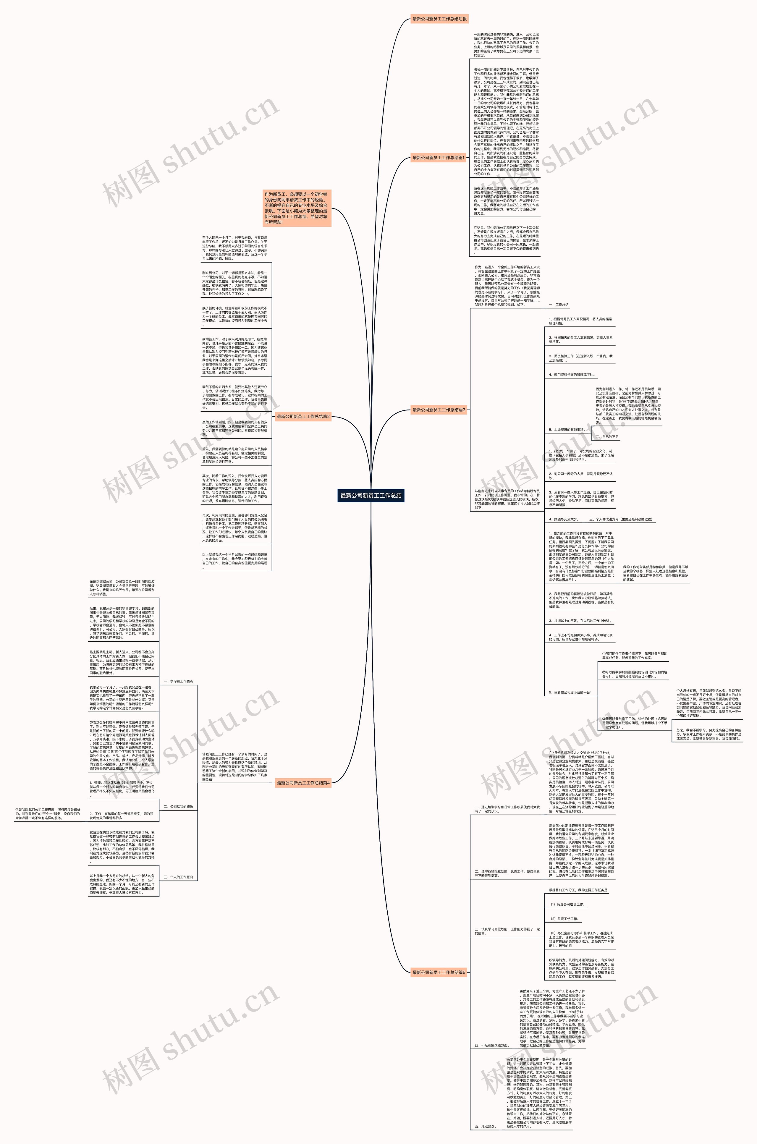 最新公司新员工工作总结思维导图