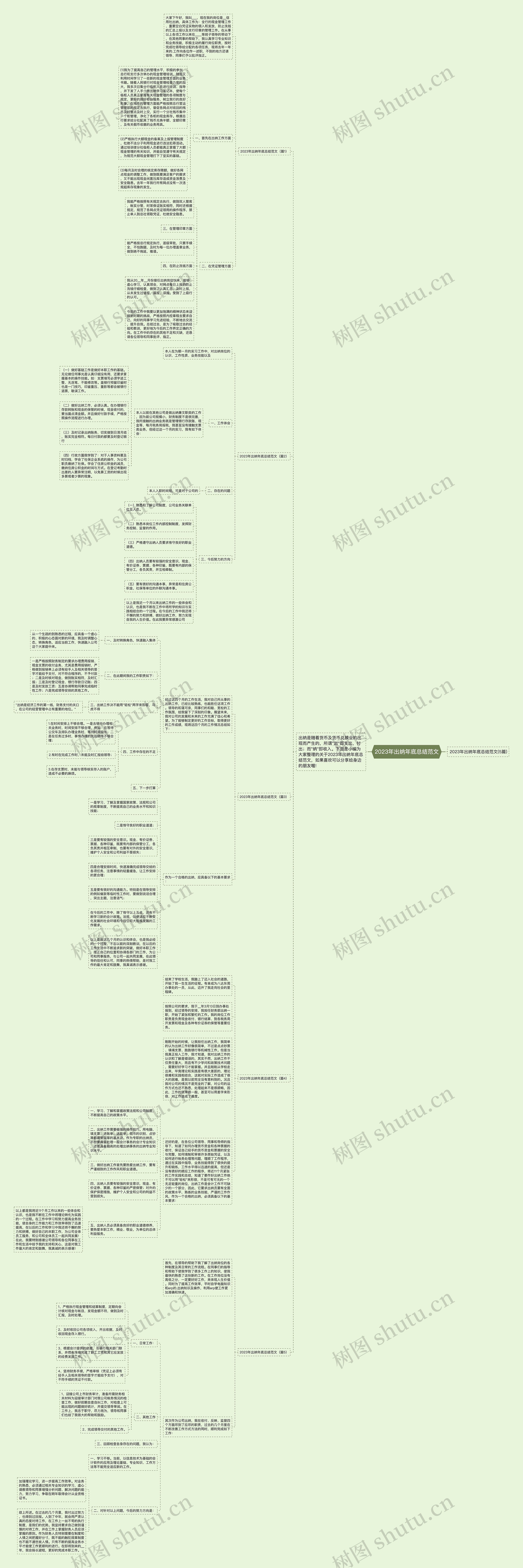 2023年出纳年底总结范文思维导图
