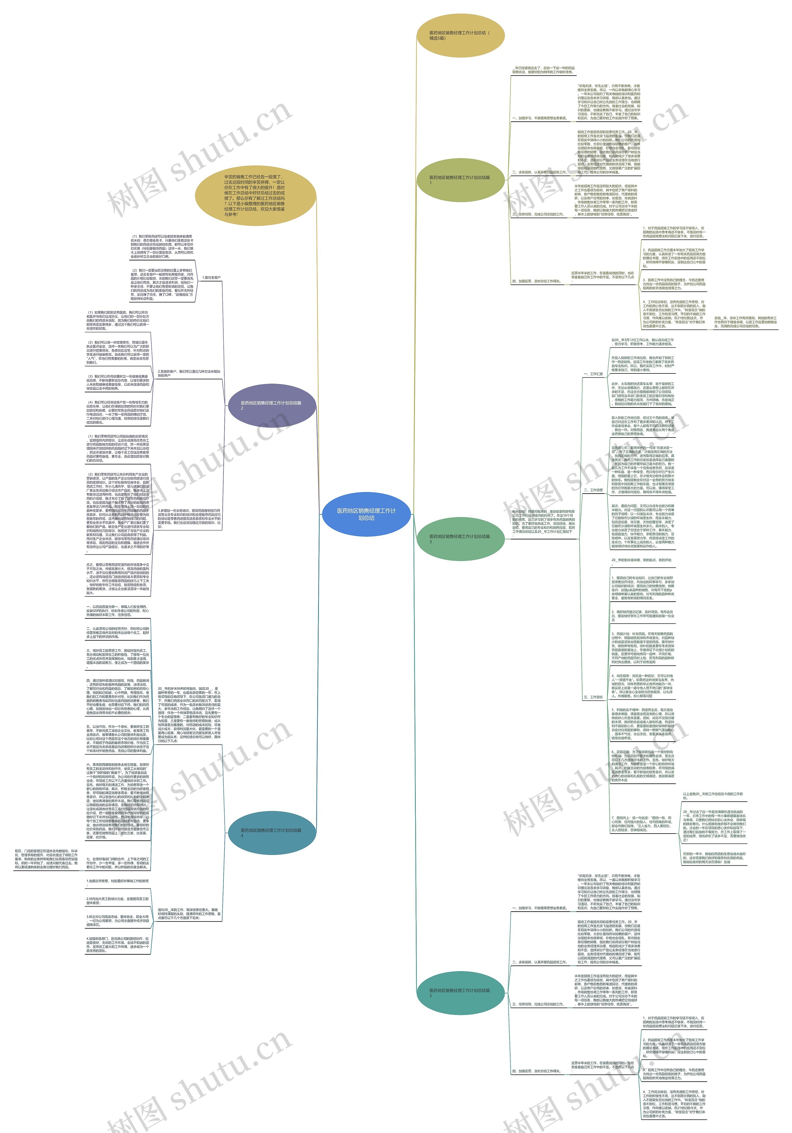 医药地区销售经理工作计划总结思维导图