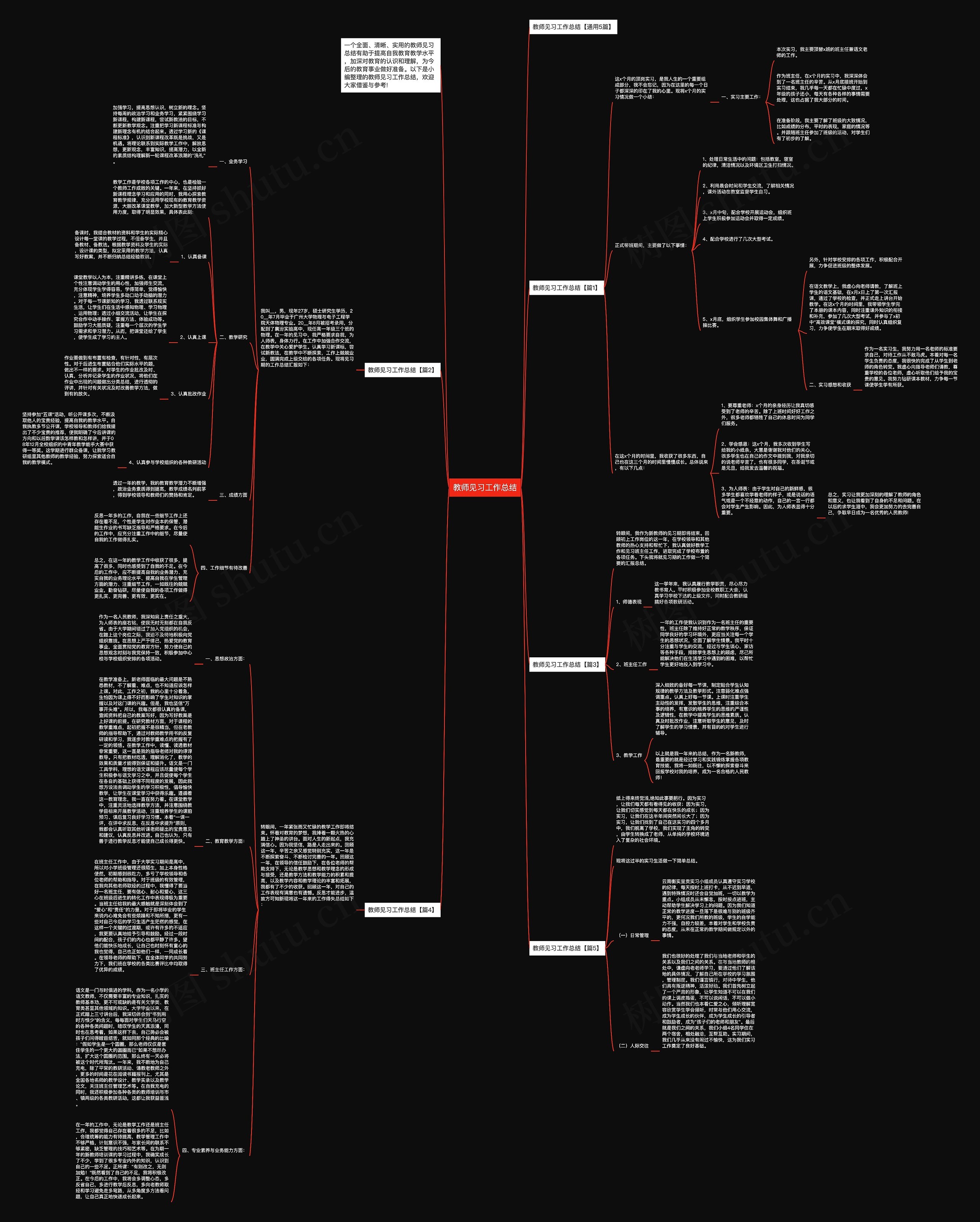 教师见习工作总结思维导图