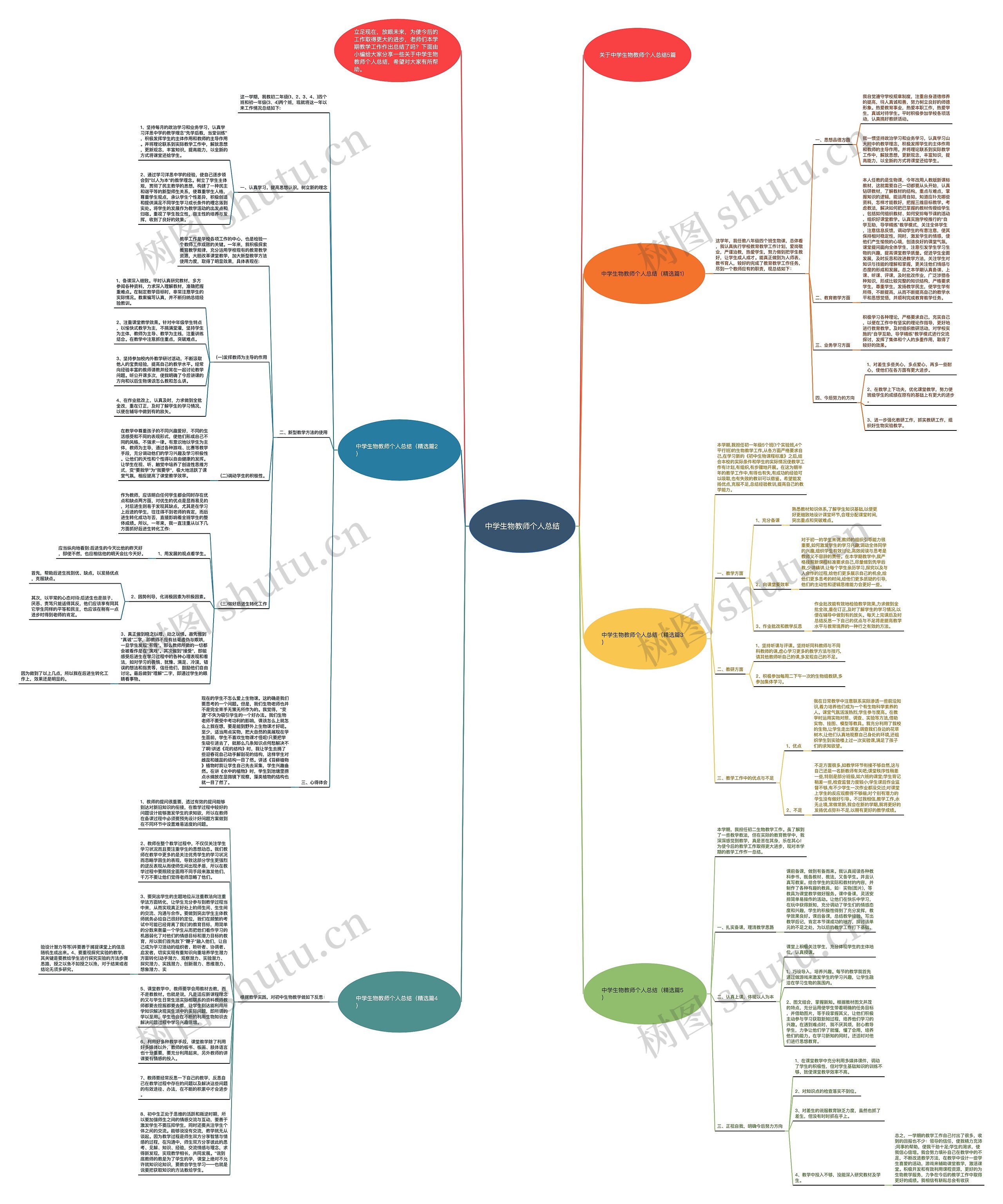 中学生物教师个人总结思维导图