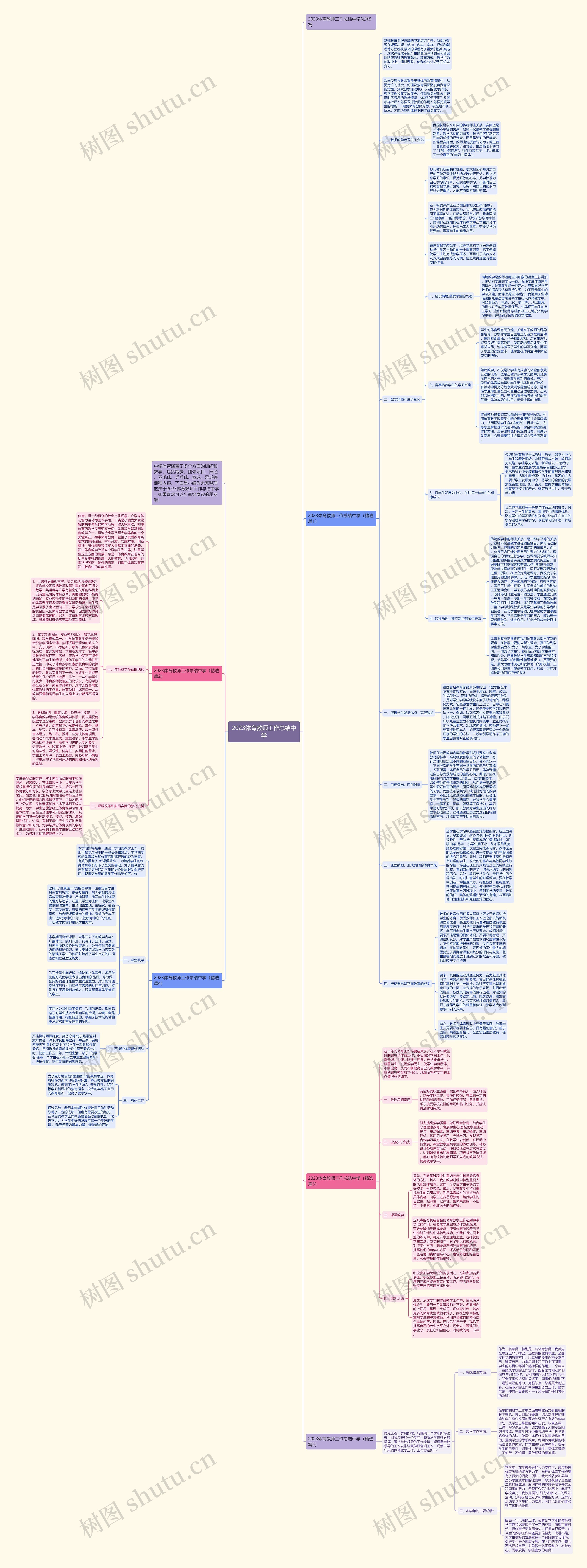2023体育教师工作总结中学思维导图