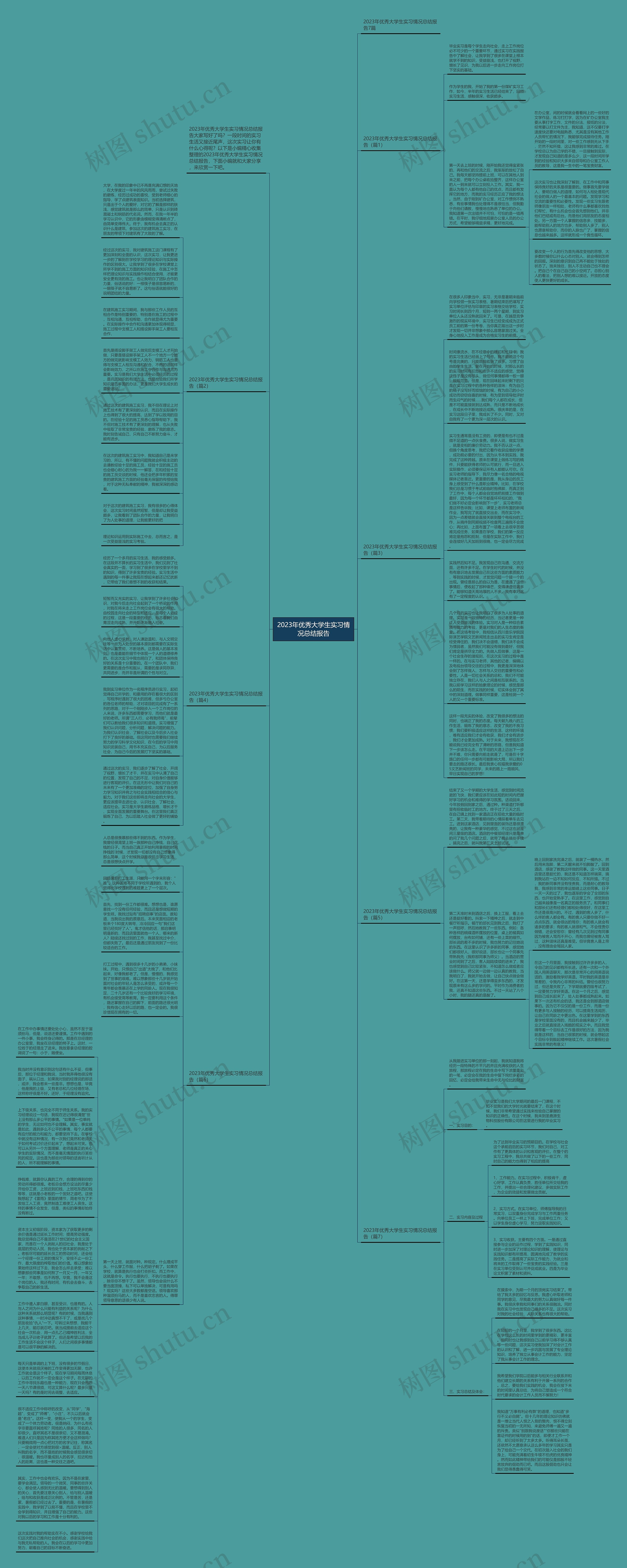 2023年优秀大学生实习情况总结报告思维导图