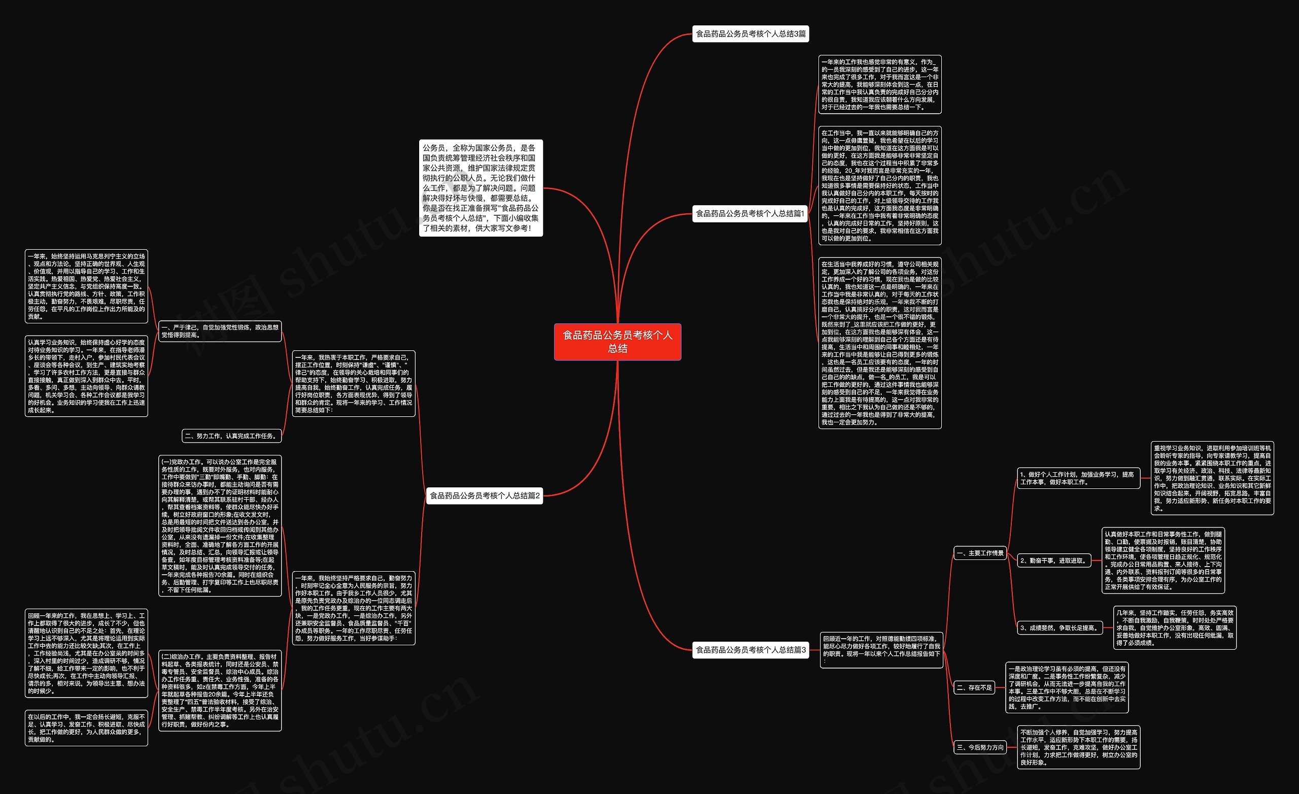 食品药品公务员考核个人总结思维导图