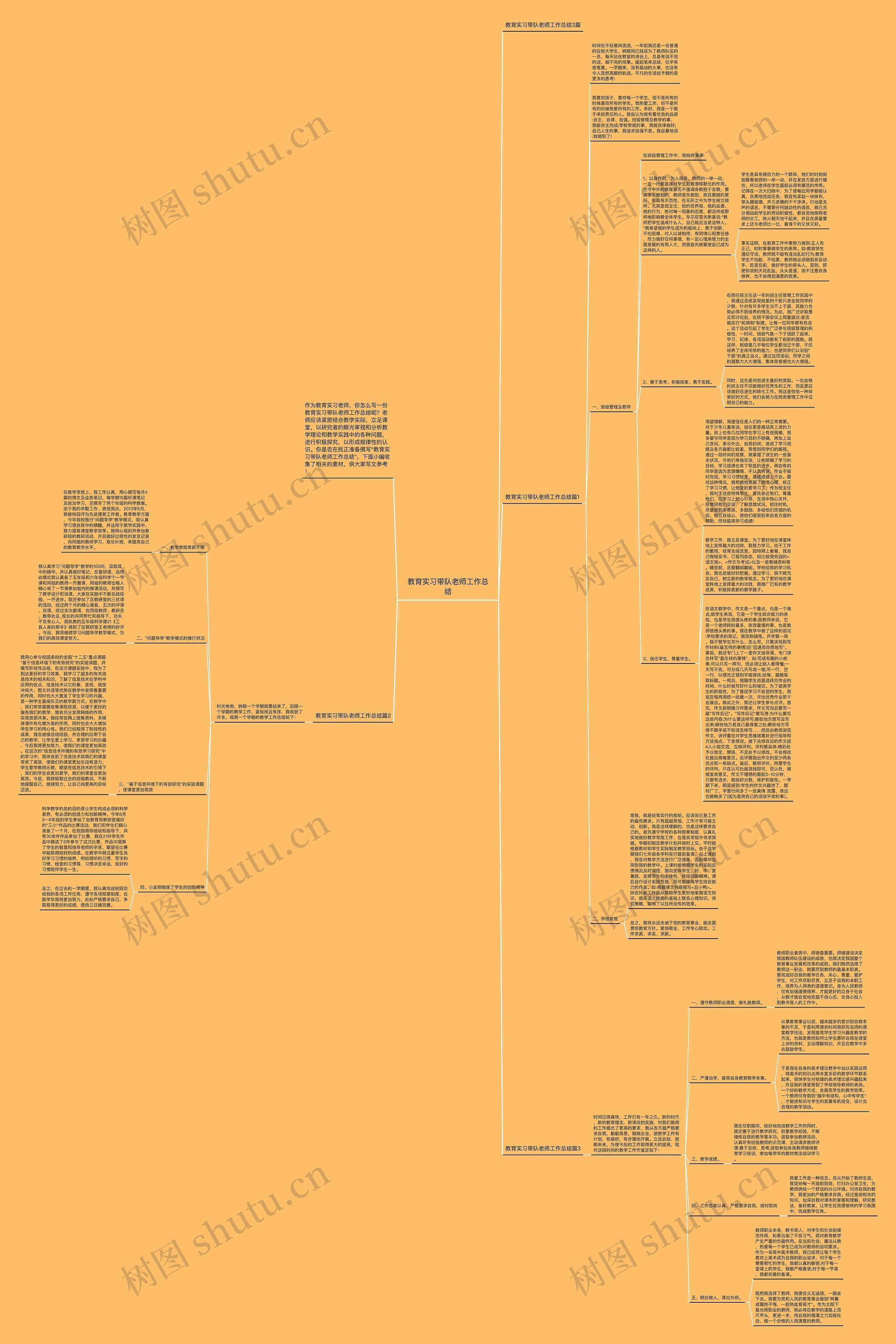 教育实习带队老师工作总结思维导图
