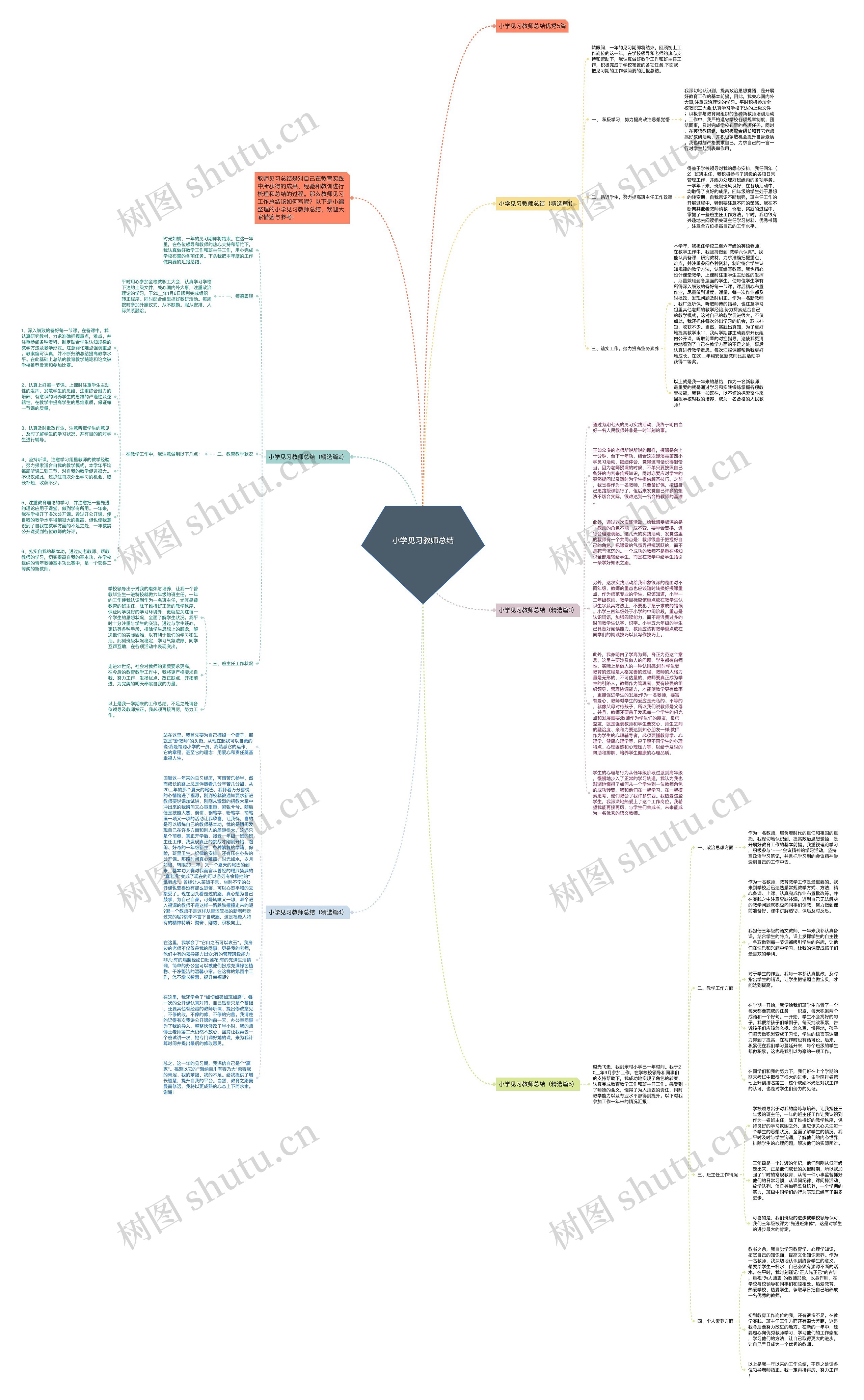 小学见习教师总结思维导图