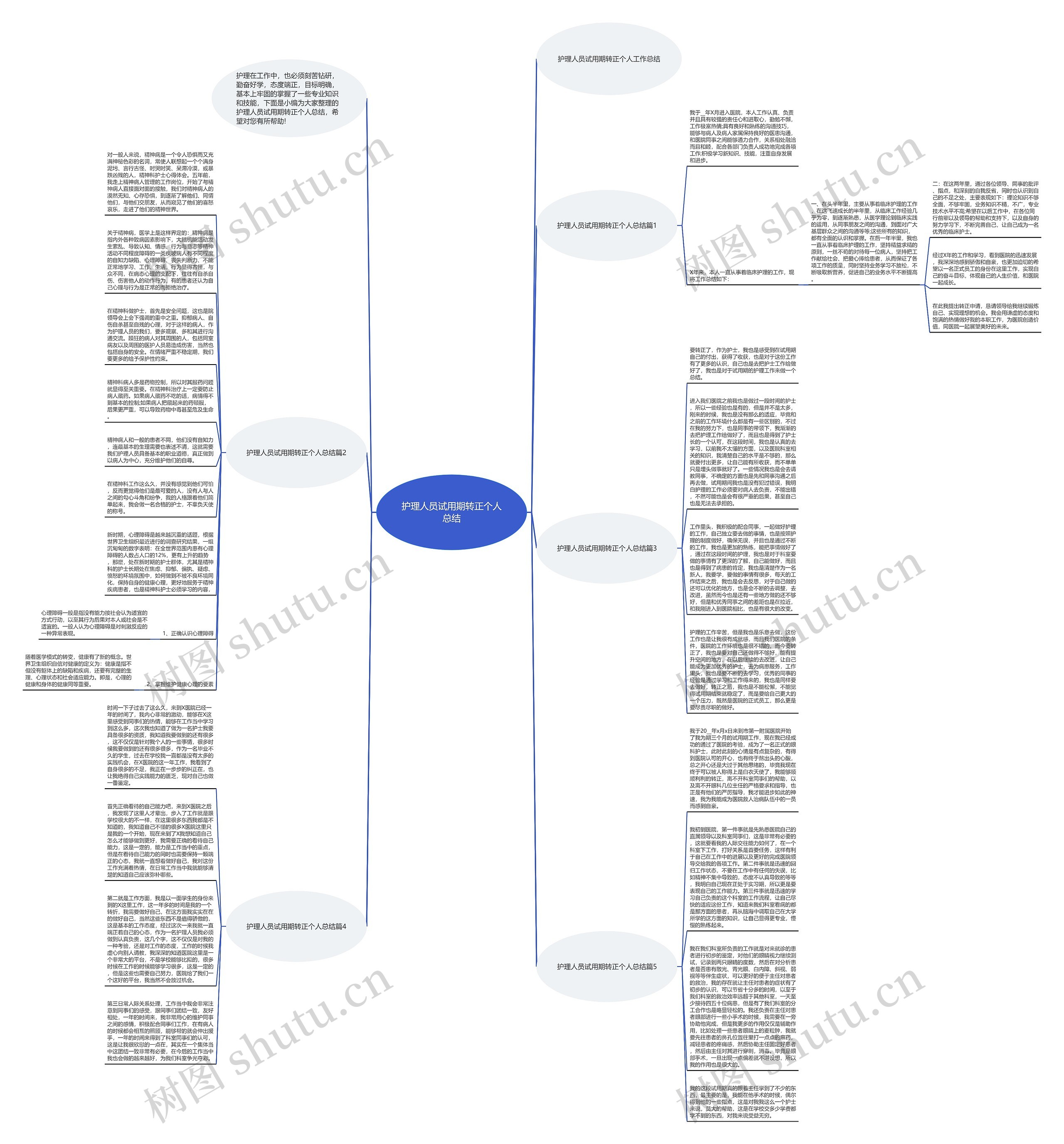 护理人员试用期转正个人总结思维导图