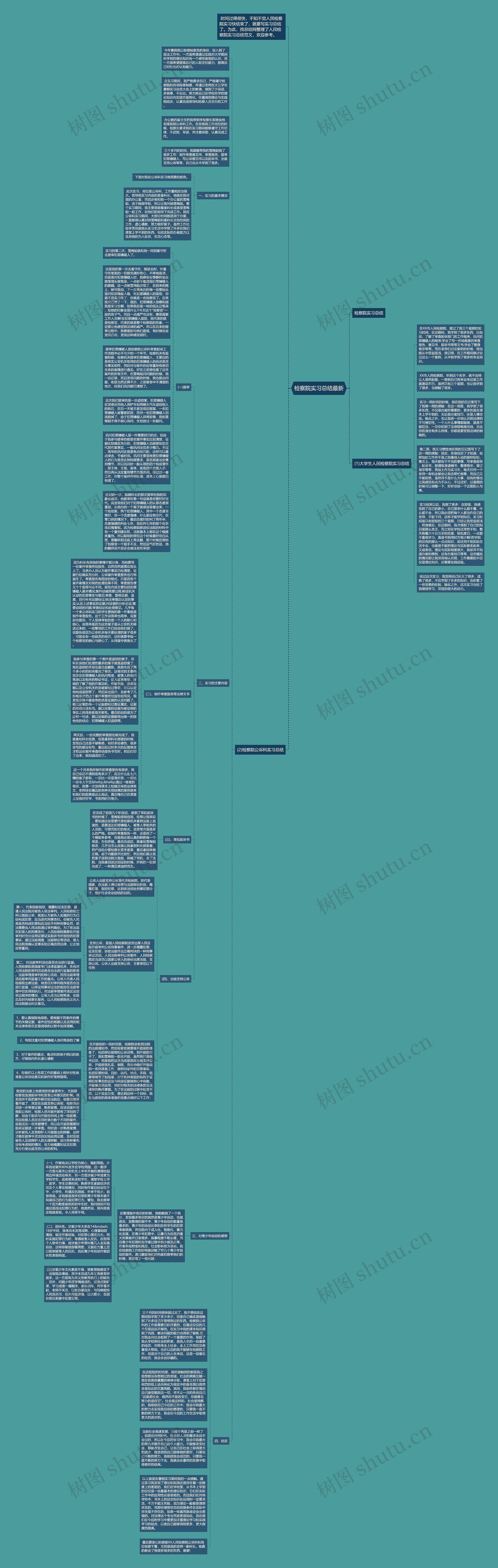 检察院实习总结最新思维导图